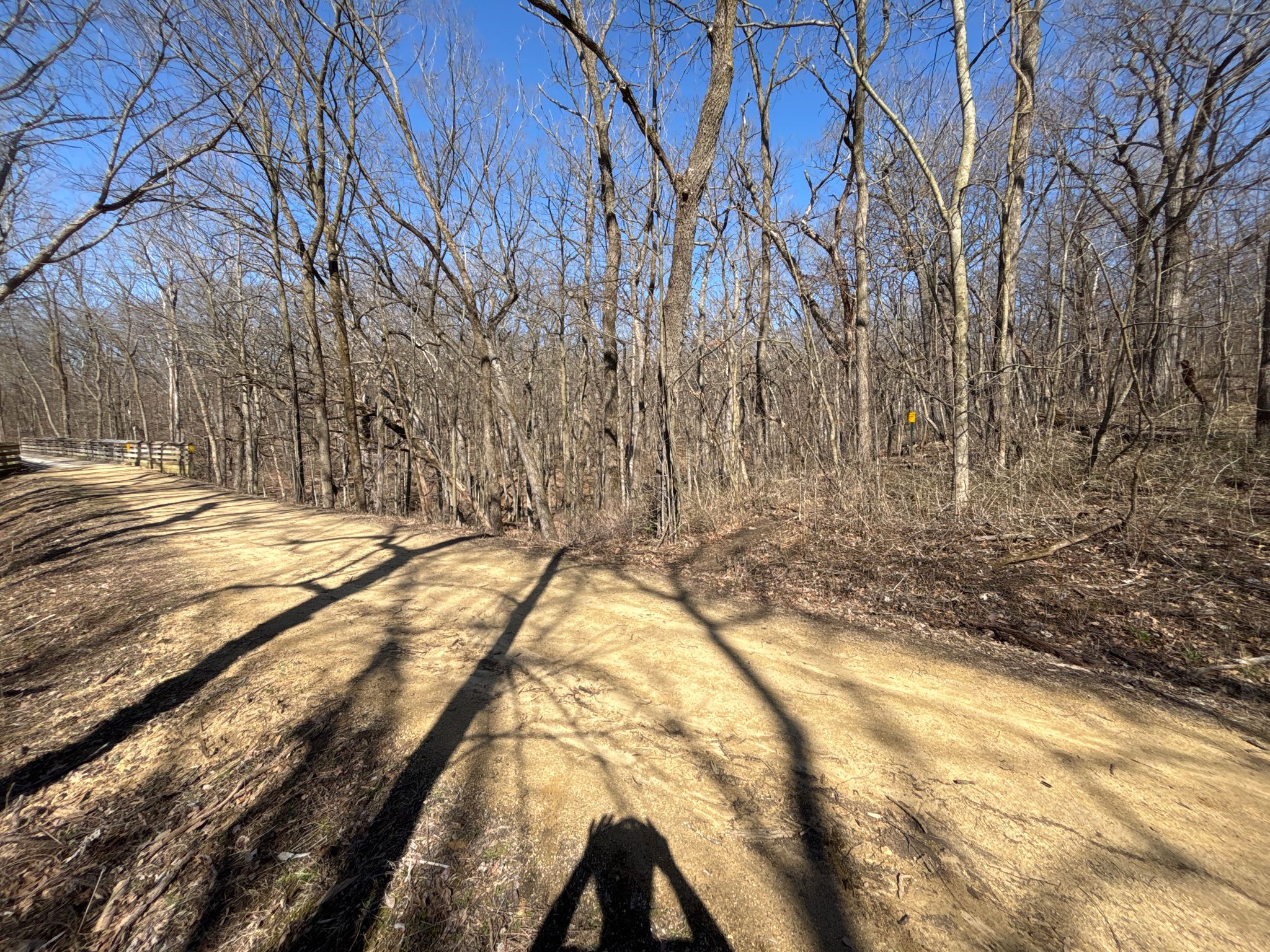 Dirt path with long shadows from bare trees under a clear sky. - Indian Castle loop from Blue Mound State Park