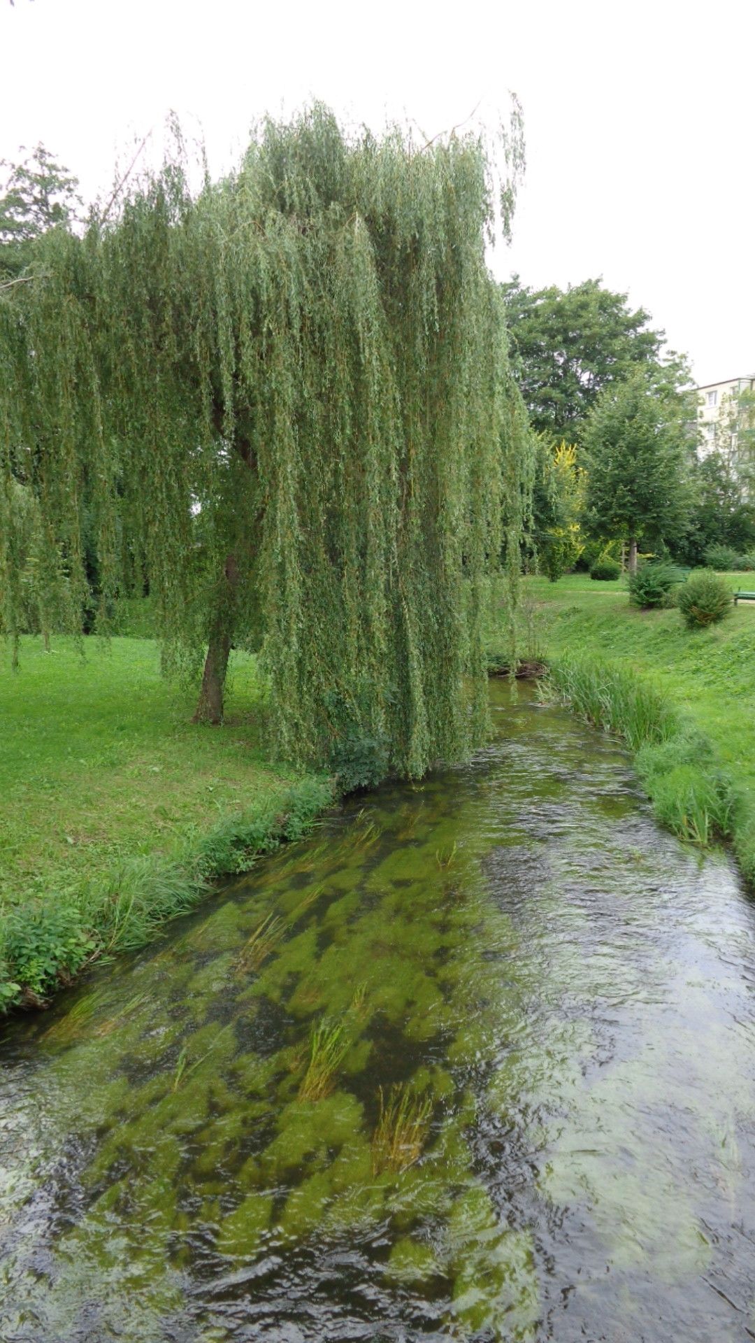 Dömnitz