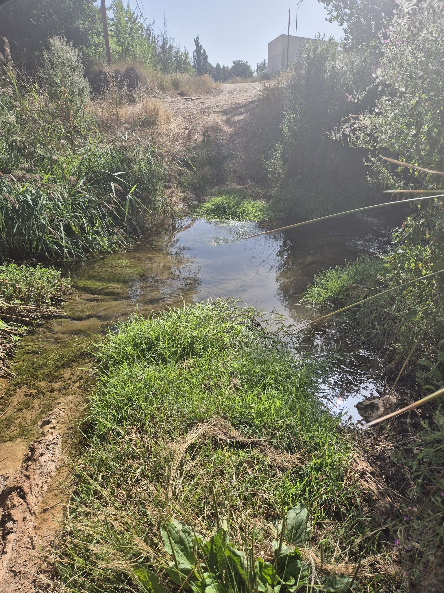 paso riachuelo