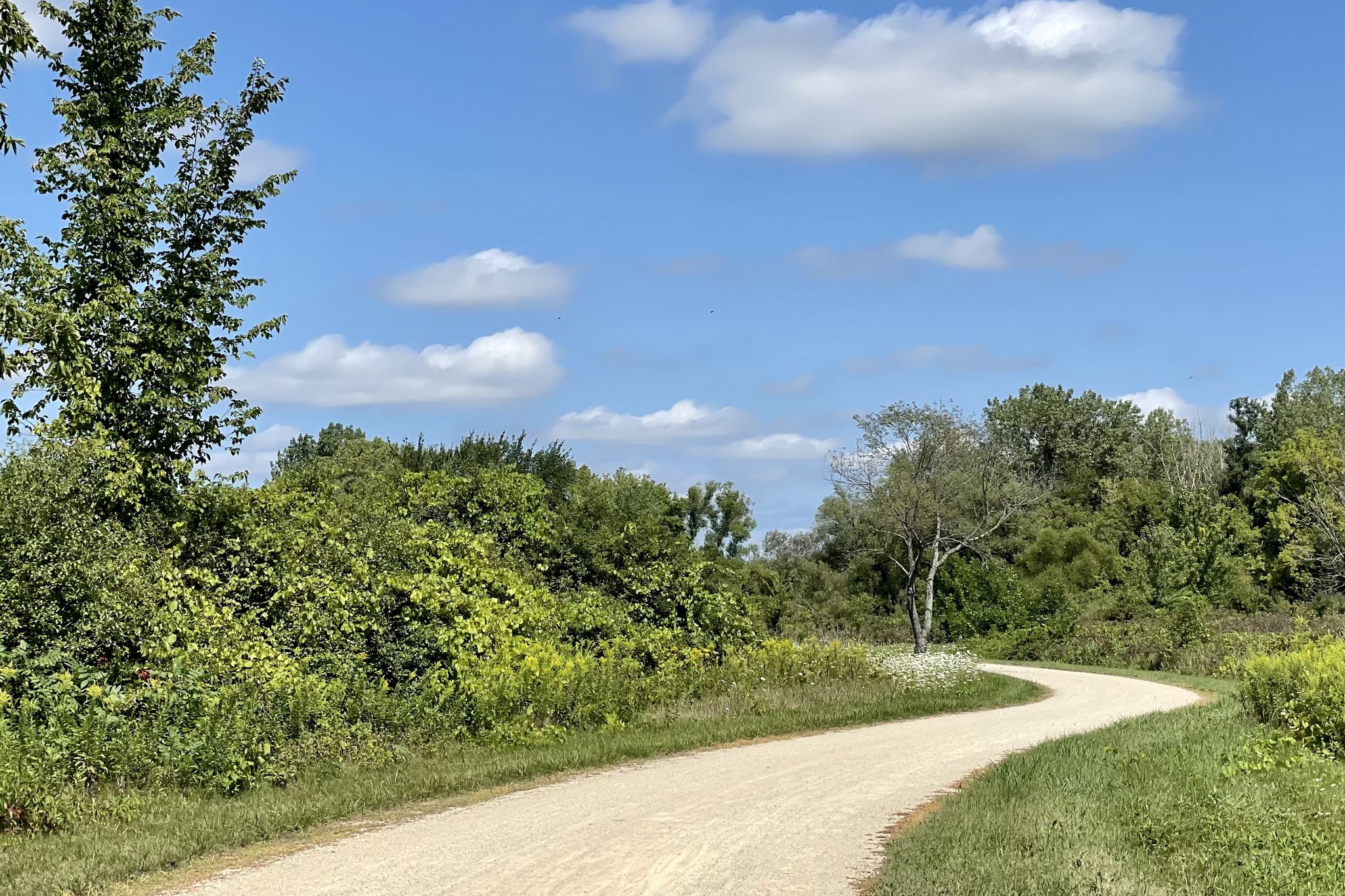 Winding dirt path through green trees and bushes, blue sky, white clouds. - Running loop from Russell