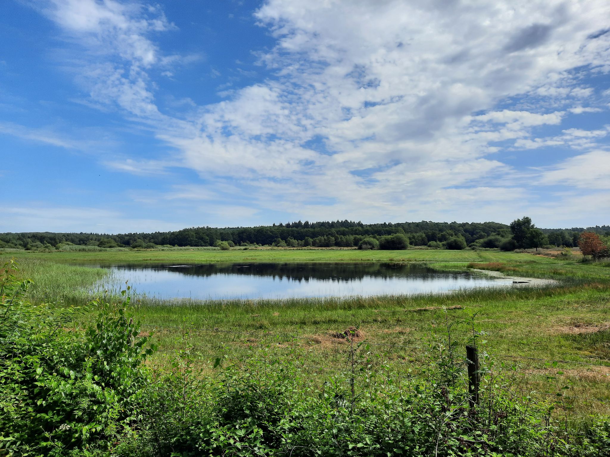 NSG Luesekamp und Boschbeek