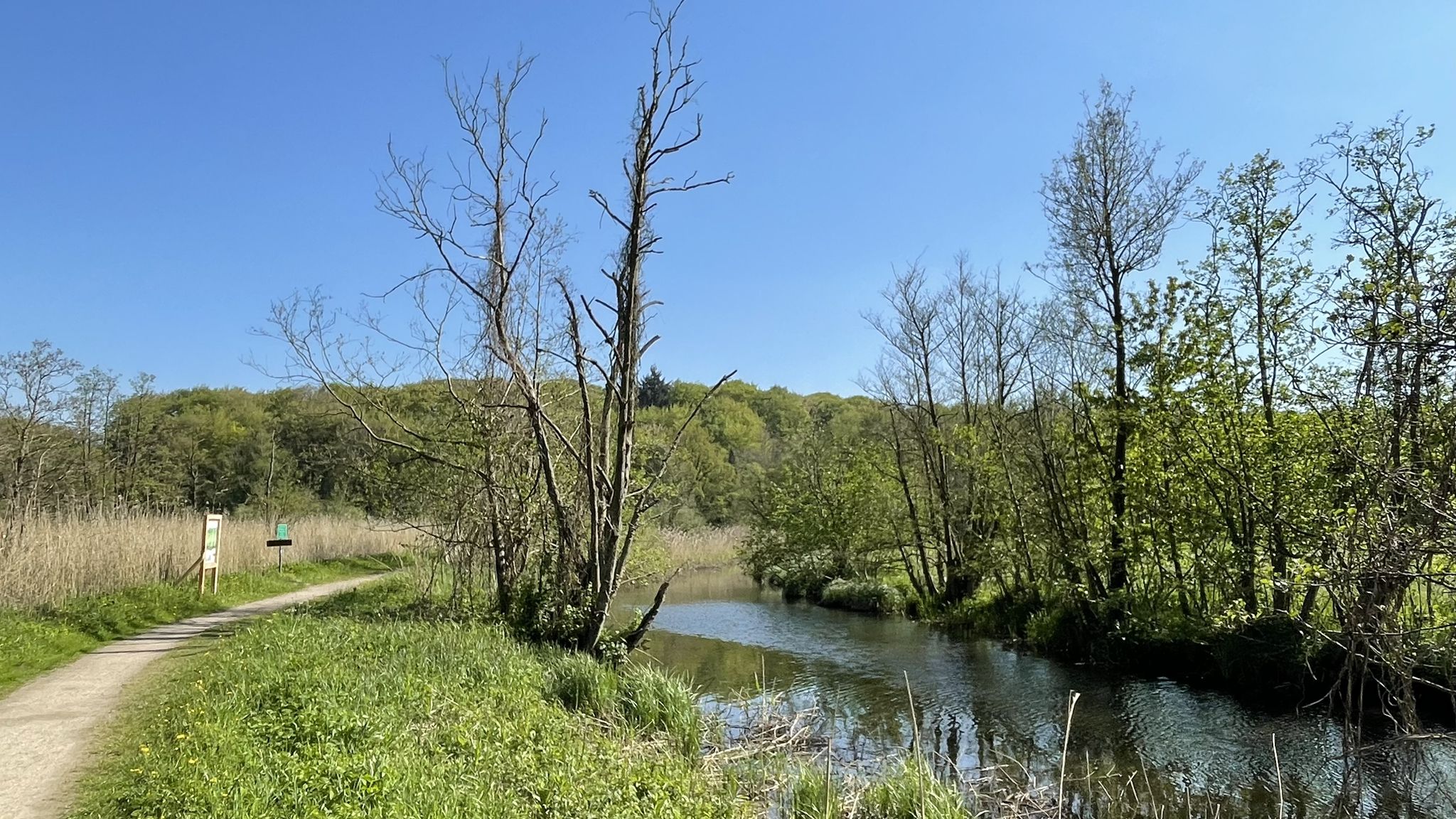 Weg durch den <Naturerlebnisraum Schwartautal>
