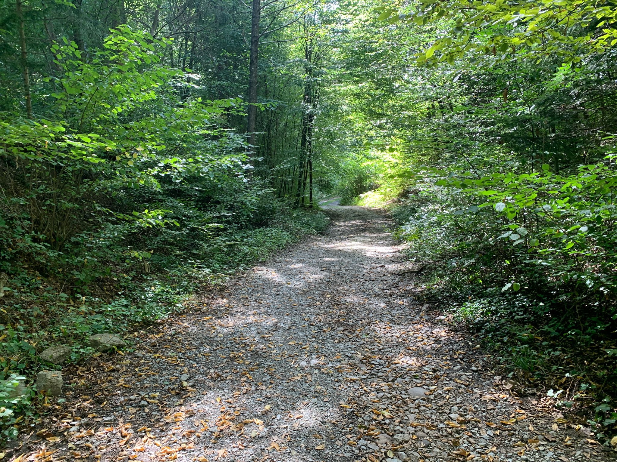 Mountainbike-Abschnitt