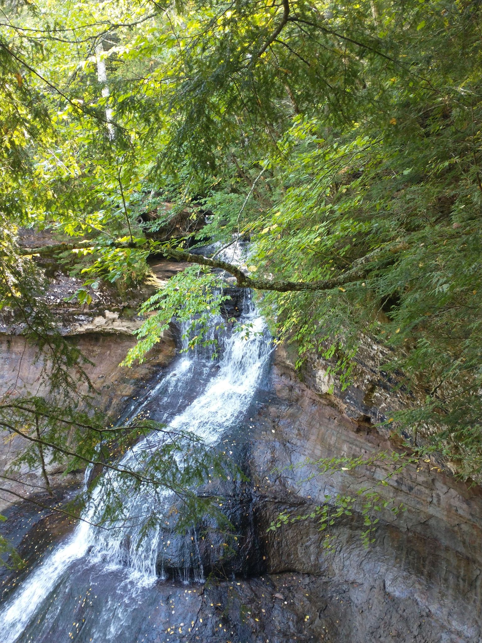 Waterfall cascading over rocks, framed by lush green forest foliage. - Chapel Falls