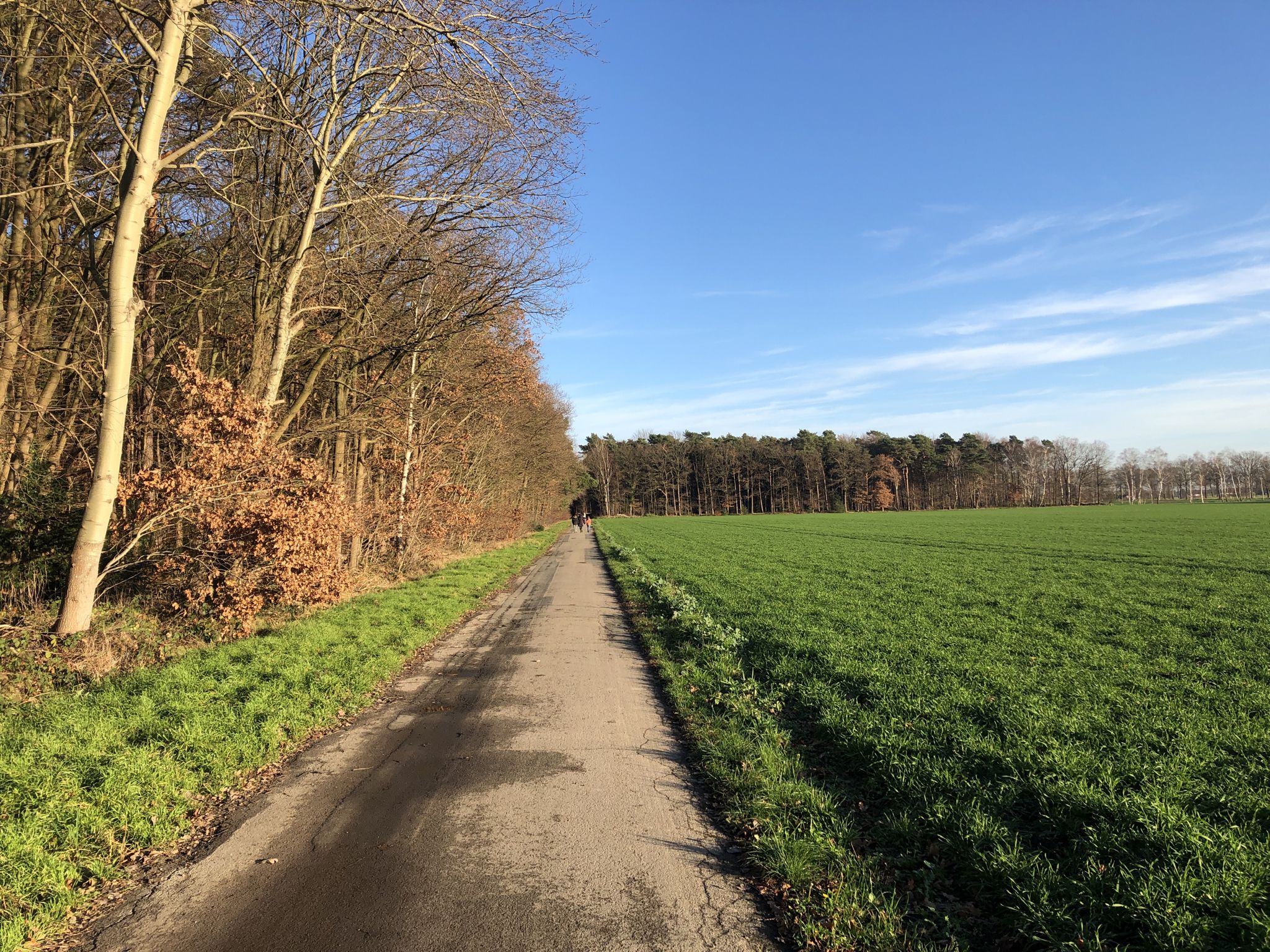 Wiechendorf in Richtung Scherenbostel