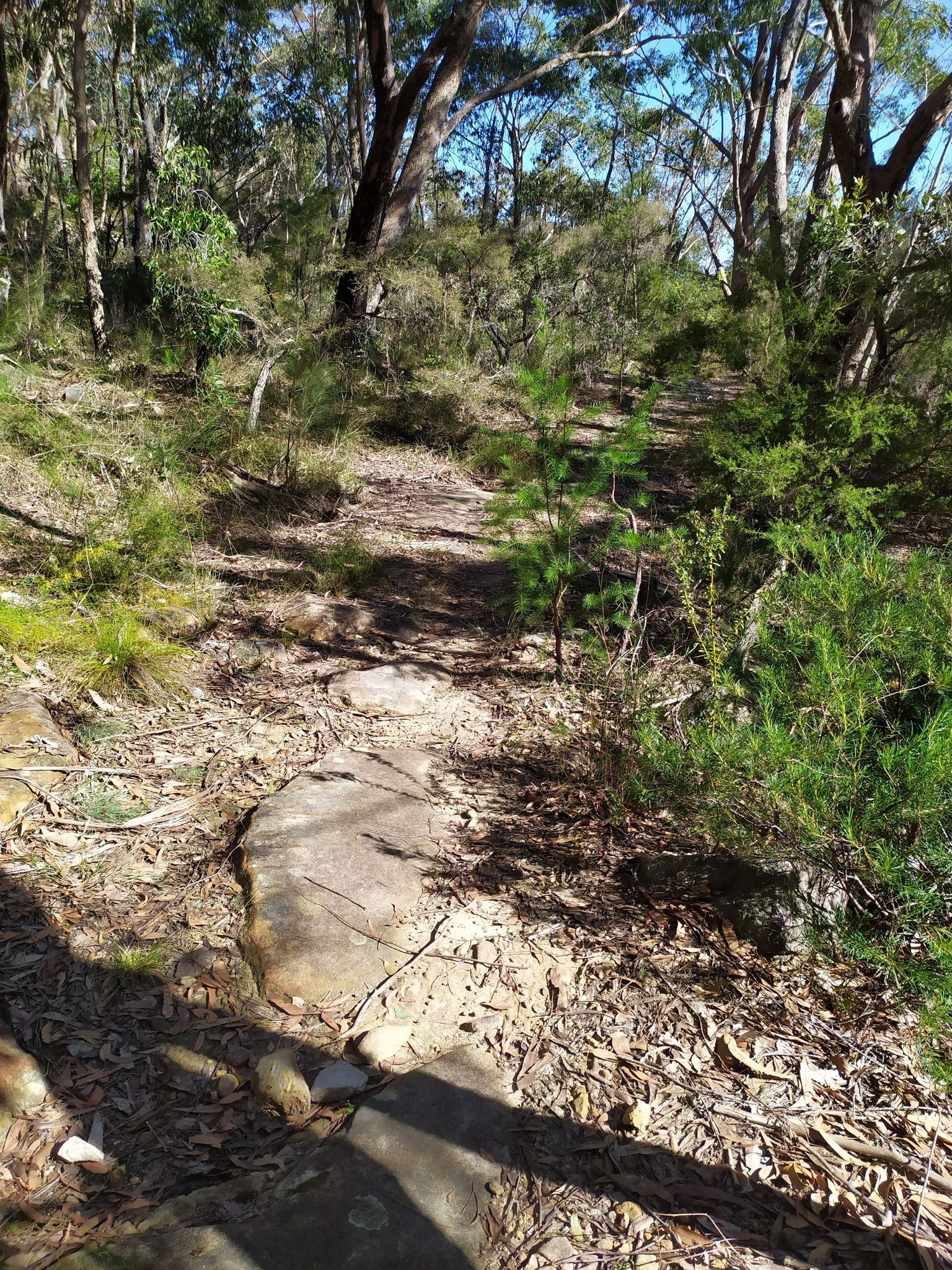 bushwalking