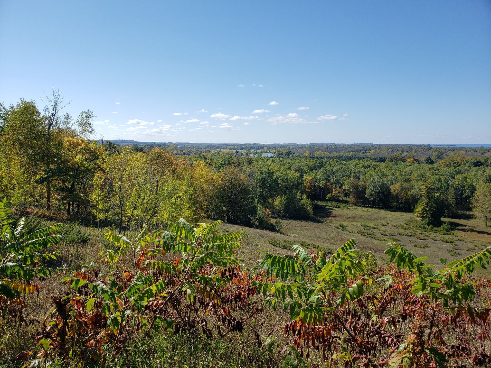 Expansive view of green and yellow autumn forests and fields under a clear sky. - Ice Age Trail and Tower Trail