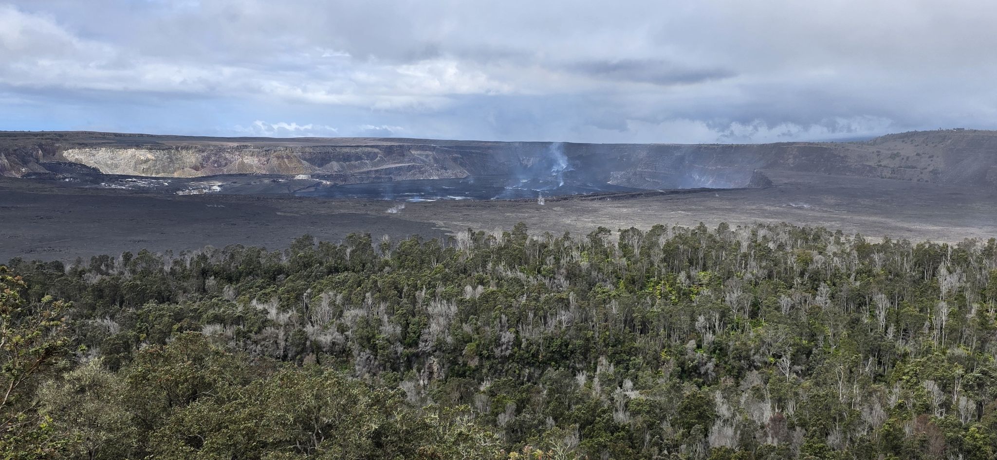 Wide view of a steaming volcanic landscape and dense green forest. - Kīlauea Visitor Center – View of Kīlauea Caldera loop from Kīlauea Iki