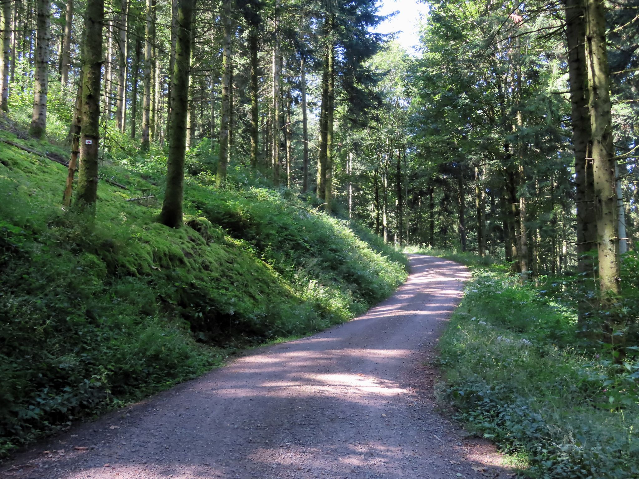 Kandelhöhenweg