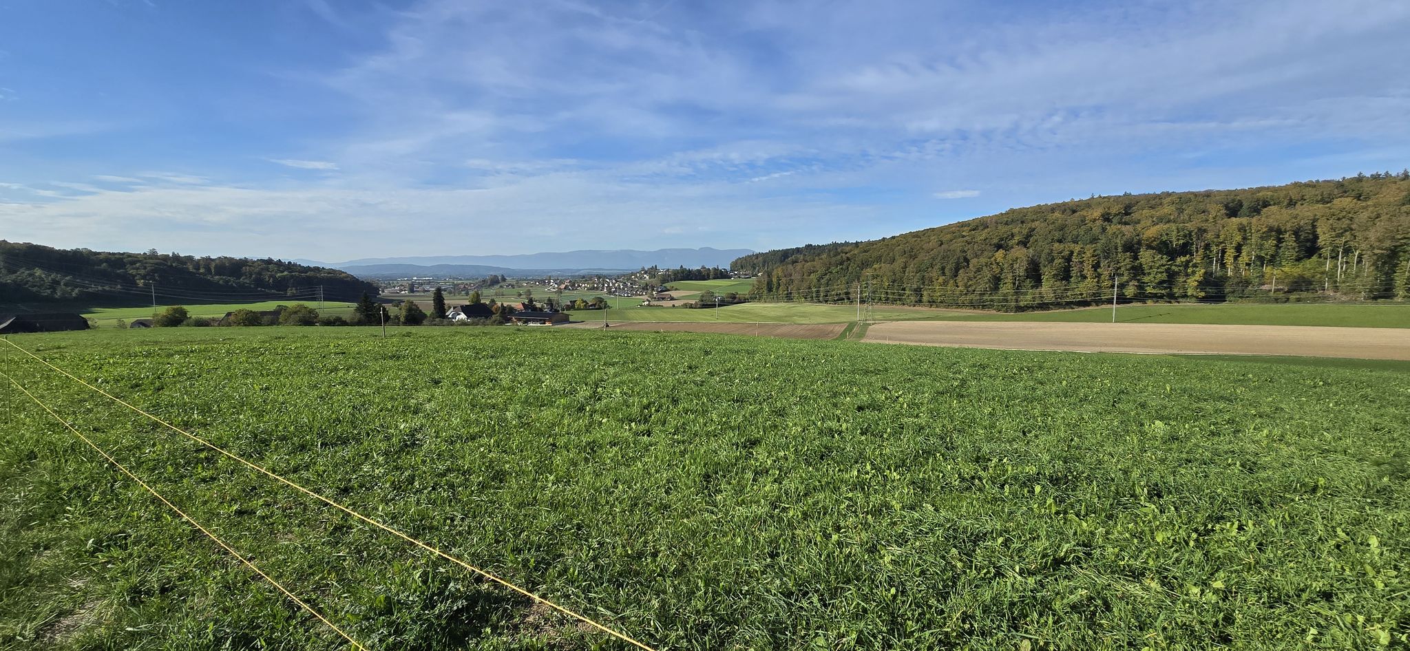Ersigen