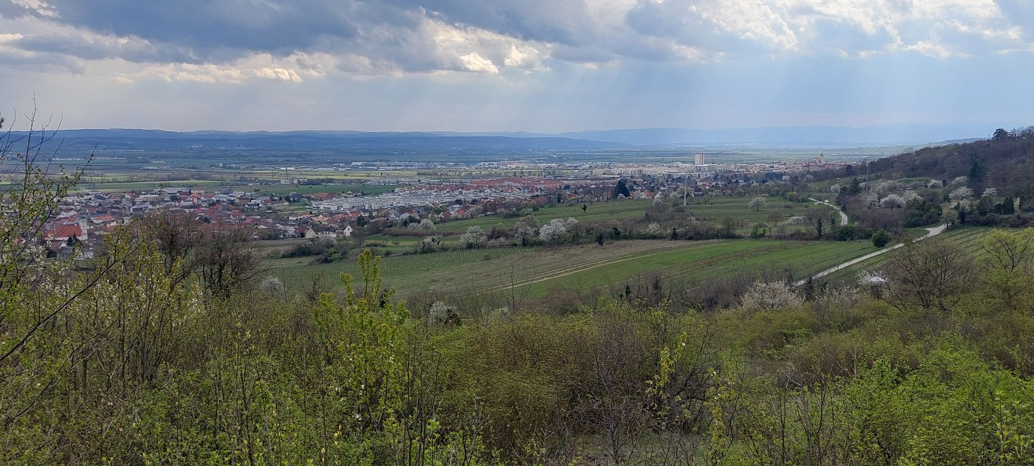 Blick nach Eisenstadt