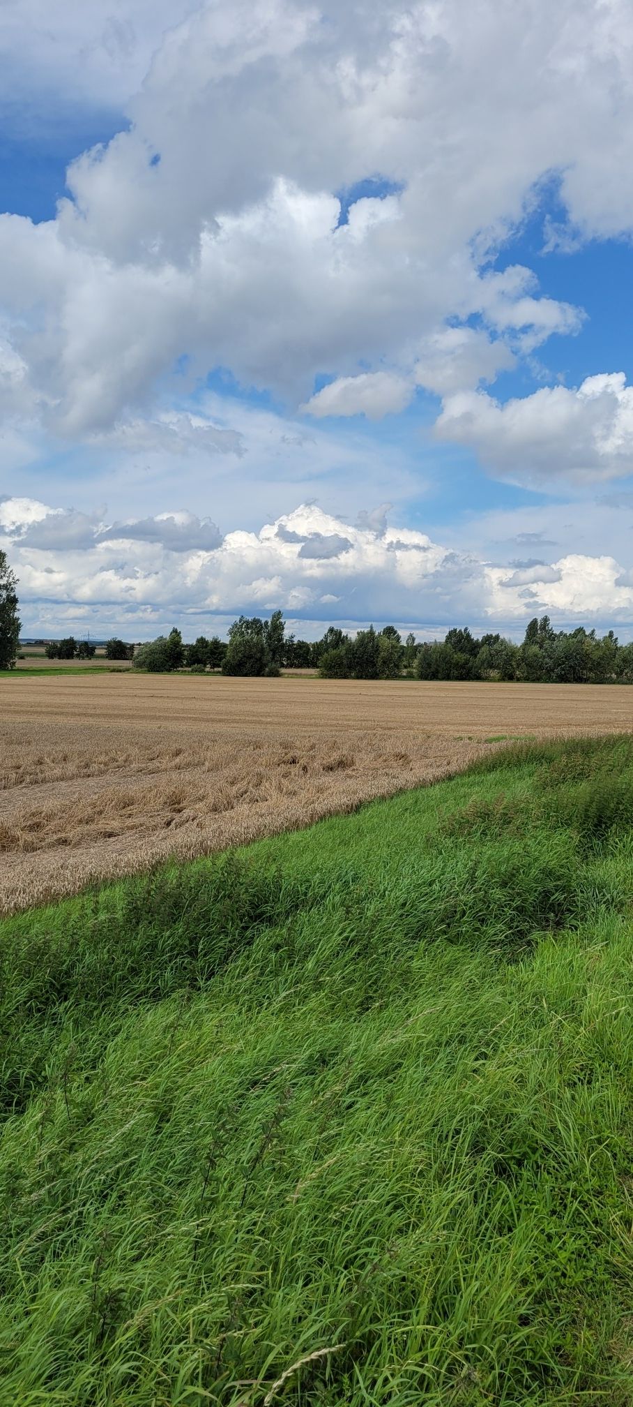 Das Wetter ist besser wie gedacht 
