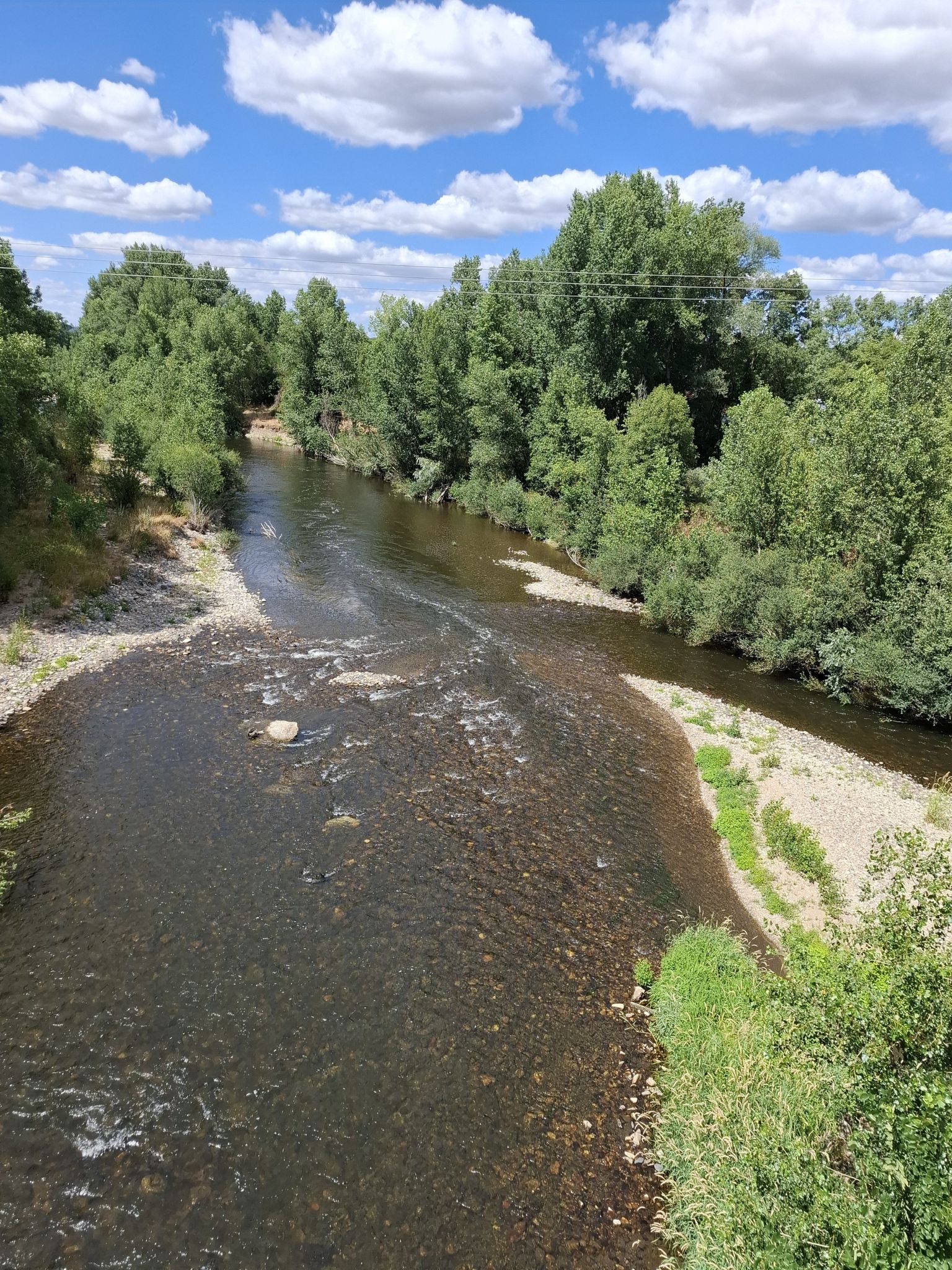 L'Allier