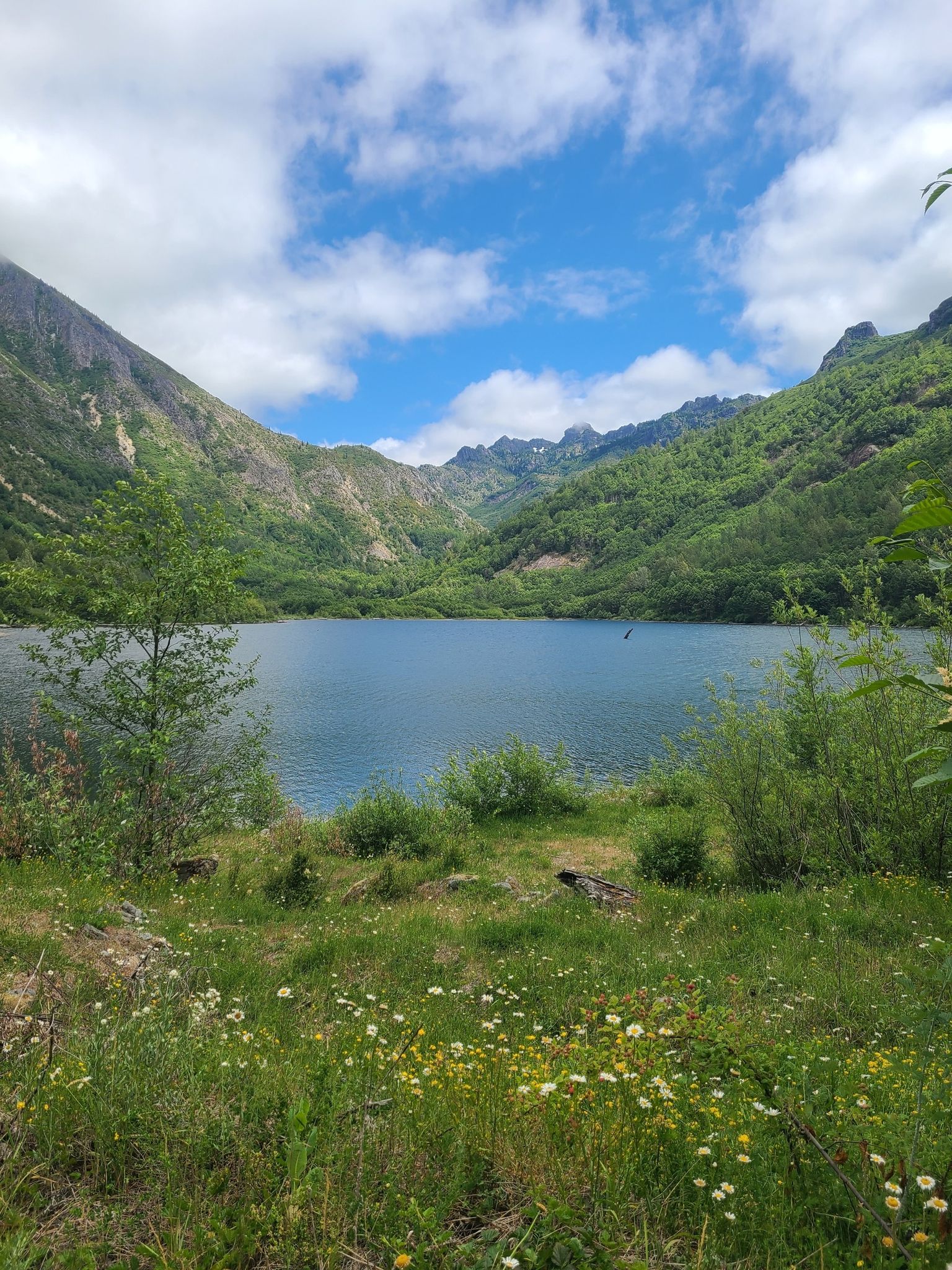 Calm lake surrounded by green mountains and wildflowers under a blue sky. - Lakes Trail