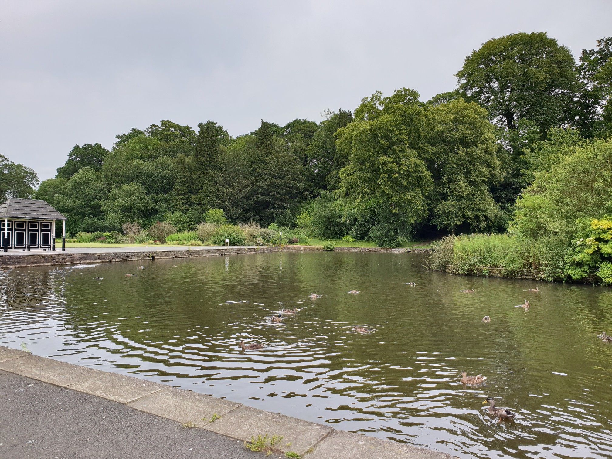 Barrowford Park