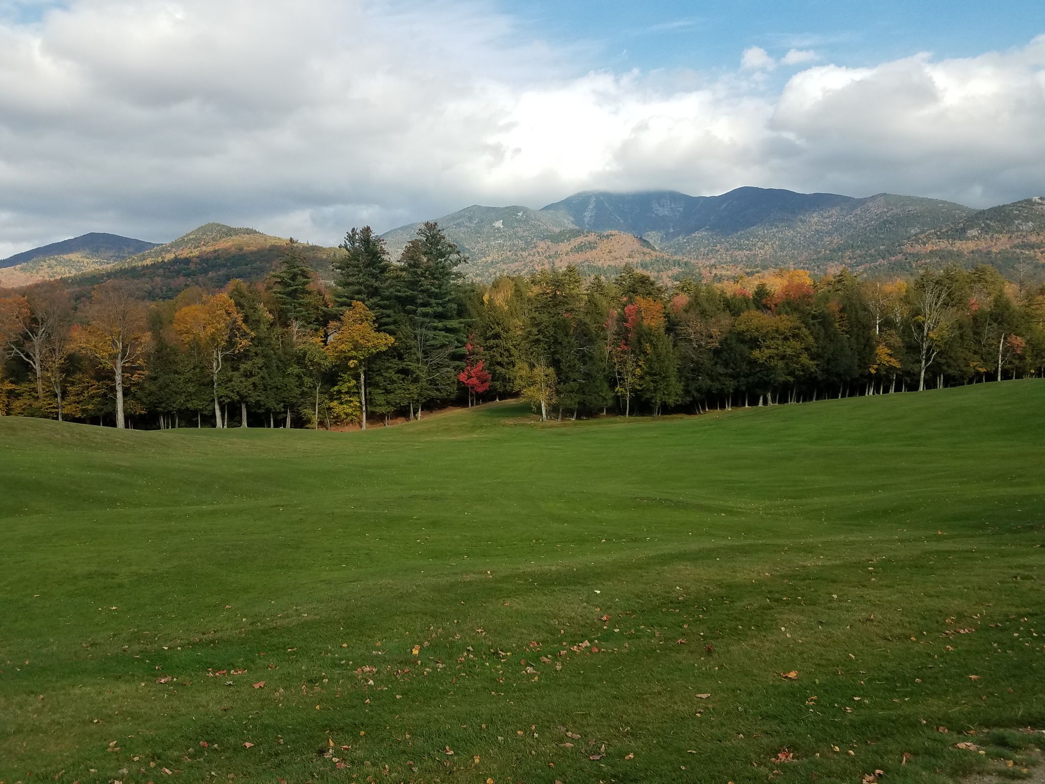 Green field with autumn trees and distant mountains under a cloudy sky. - Sawteeth via the Scenic Route