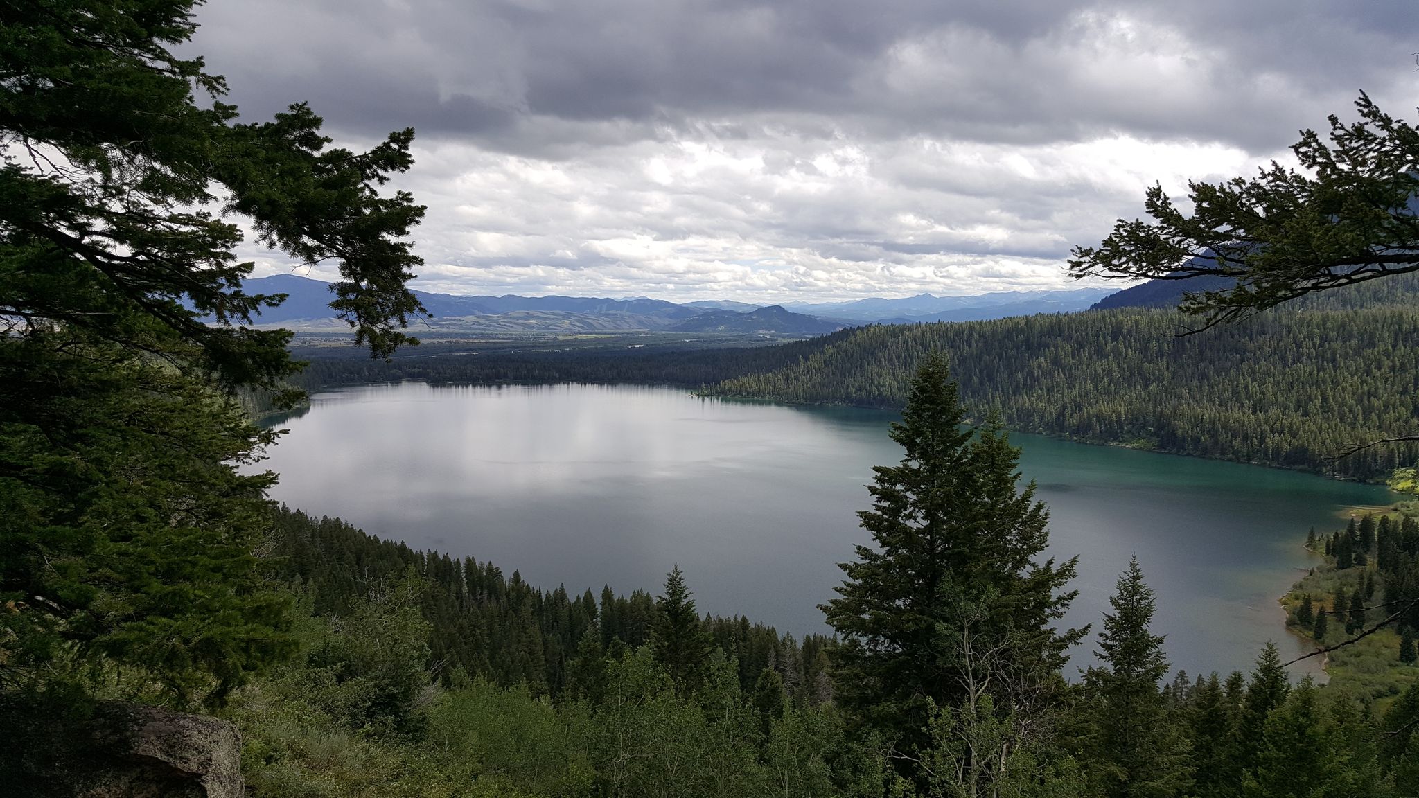 Overcast view of a large lake surrounded by dense green forests and mountains. - Phelps Lake Overlook loop from Murie Ranch Historic District