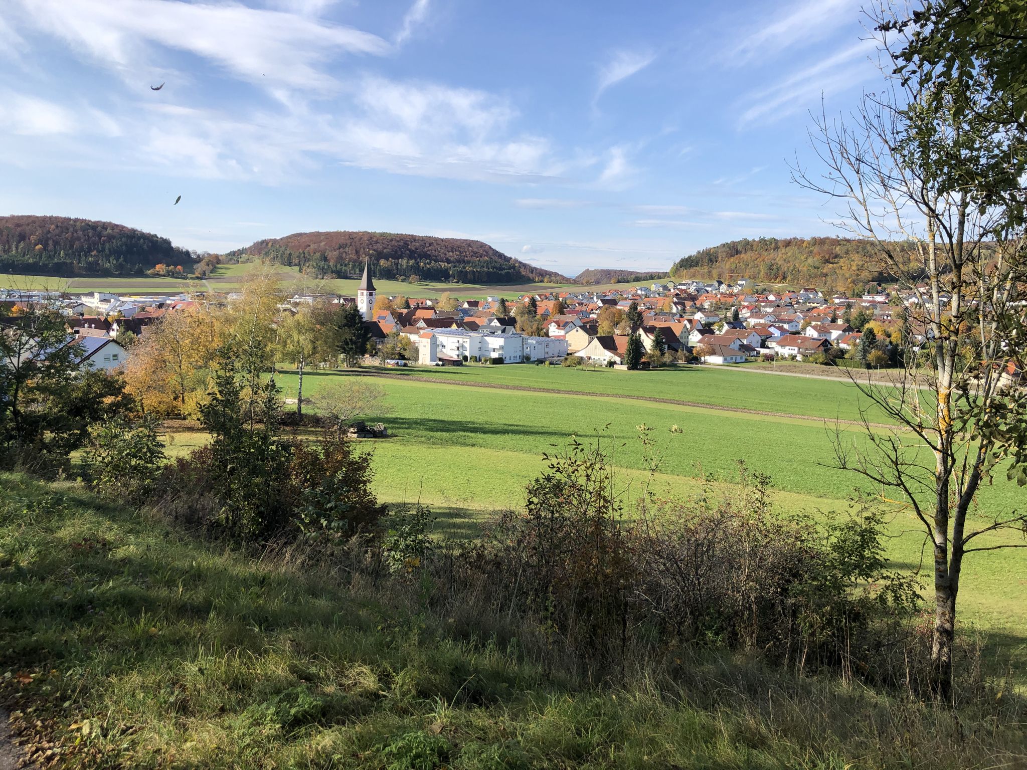 Wilmadingen