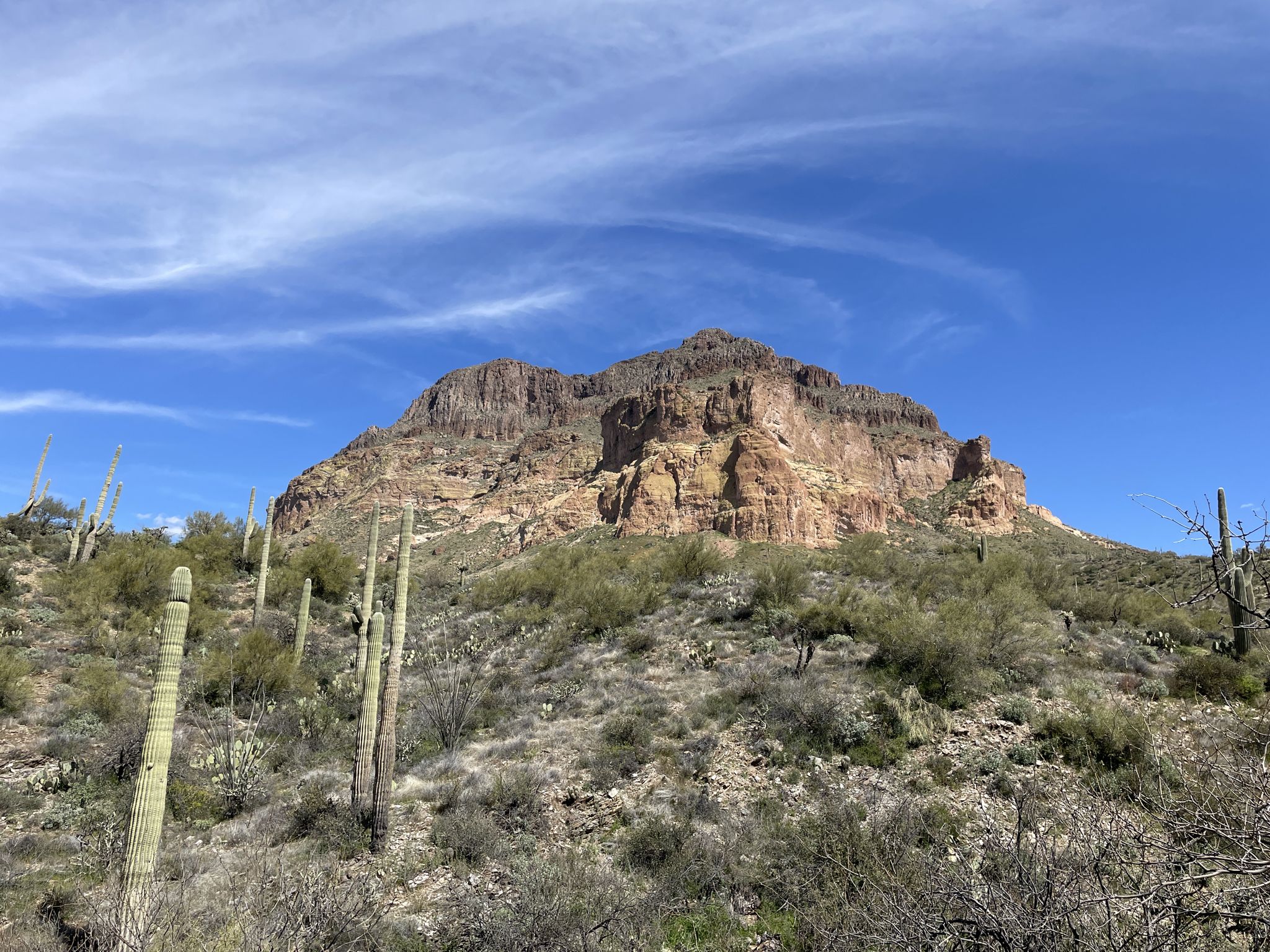 Large rocky mountain under a blue sky with wispy clouds and saguaro cacti. - Arizona Trail: Passage 17 - Alamo Canyon