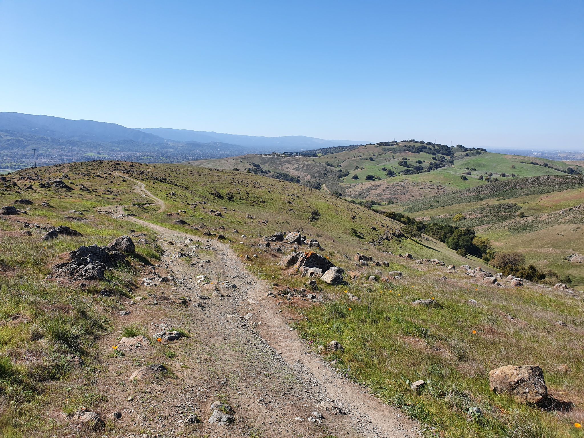 Dirt path winding through green, rocky hills under a clear blue sky. - Rocky Ridge Trail loop from Santa Teresa County Park