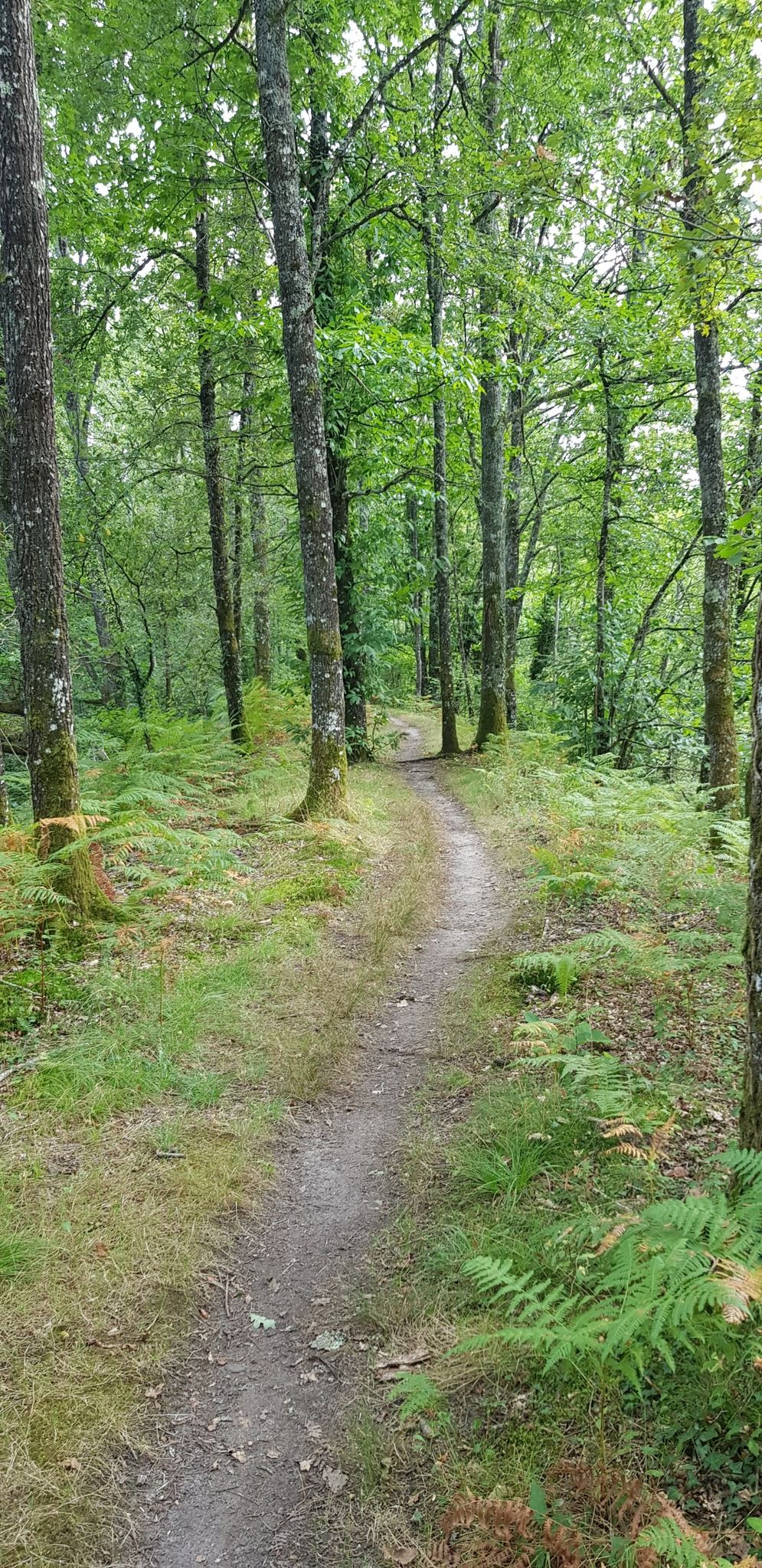chemin autour de l'étang du puits