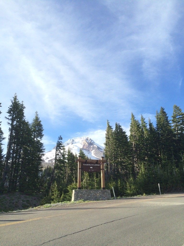 Roadside wooden sign, tall evergreen trees, and a majestic snow-capped mountain. - Timberline Lodge – Government Camp loop from Government Camp