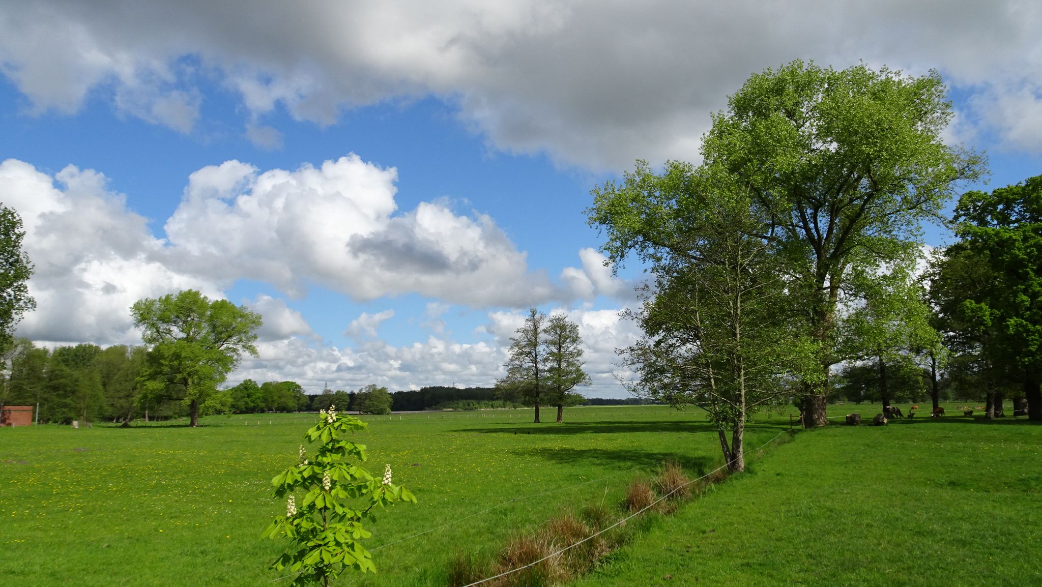 Brunnenweg