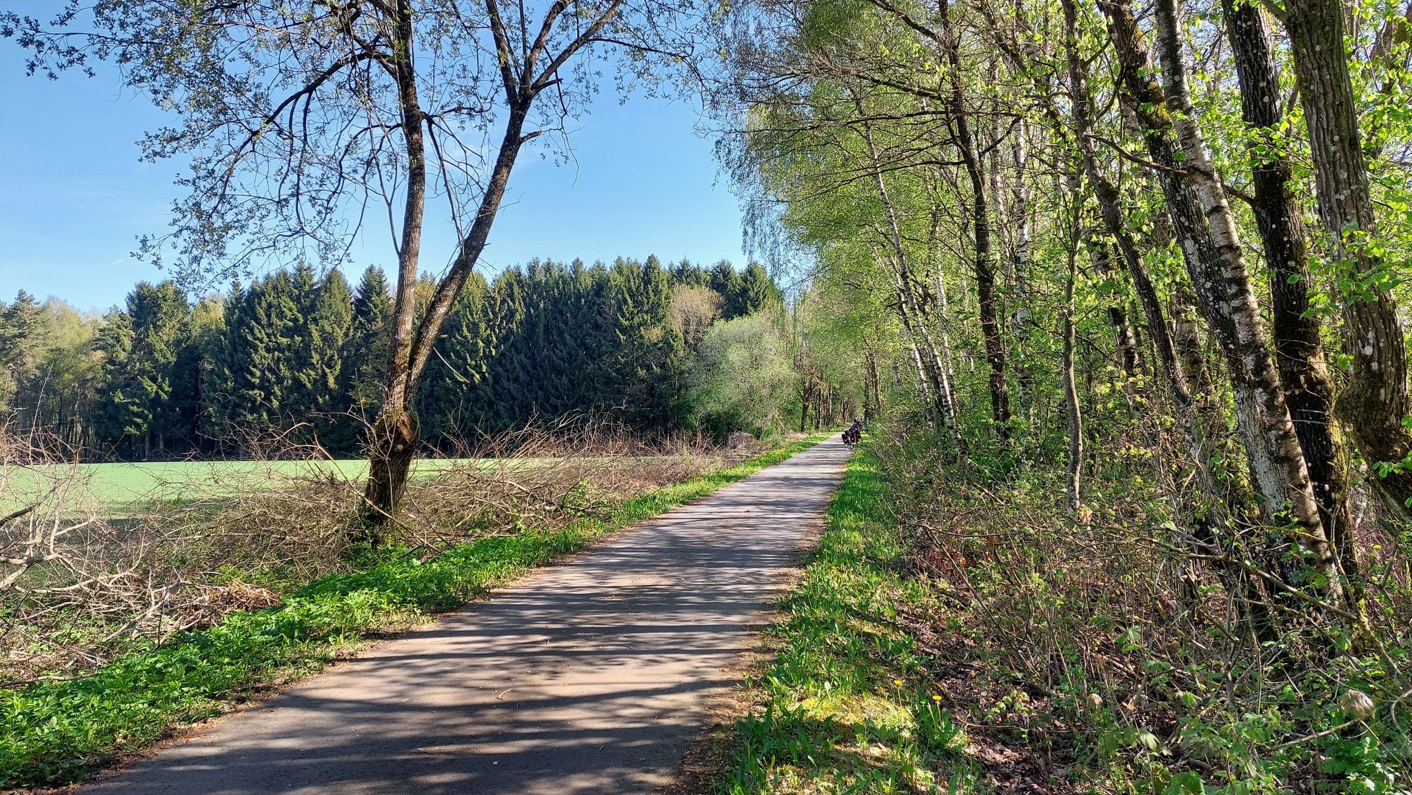 Bahntrasse (Ravel L163)  nach Gouvy