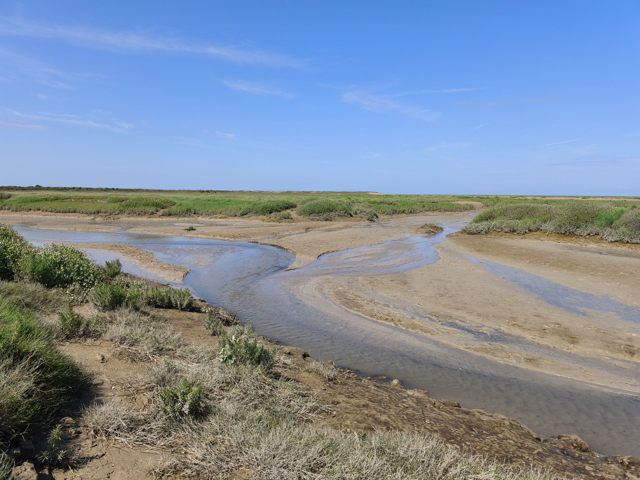 Baie d'Authie