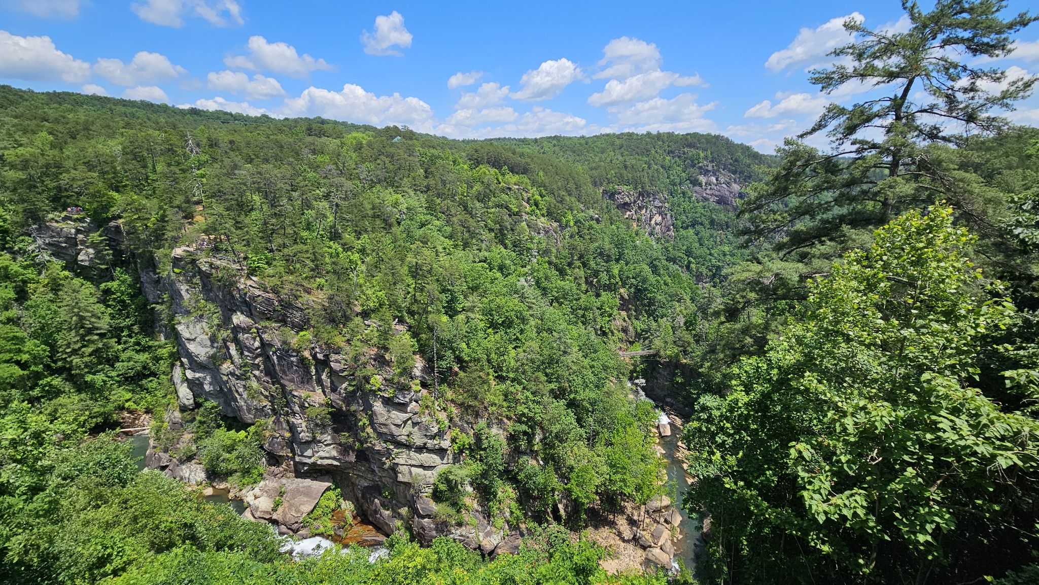 Panoramic view of a deep, rocky canyon covered in dense green trees. - South Rim Trail