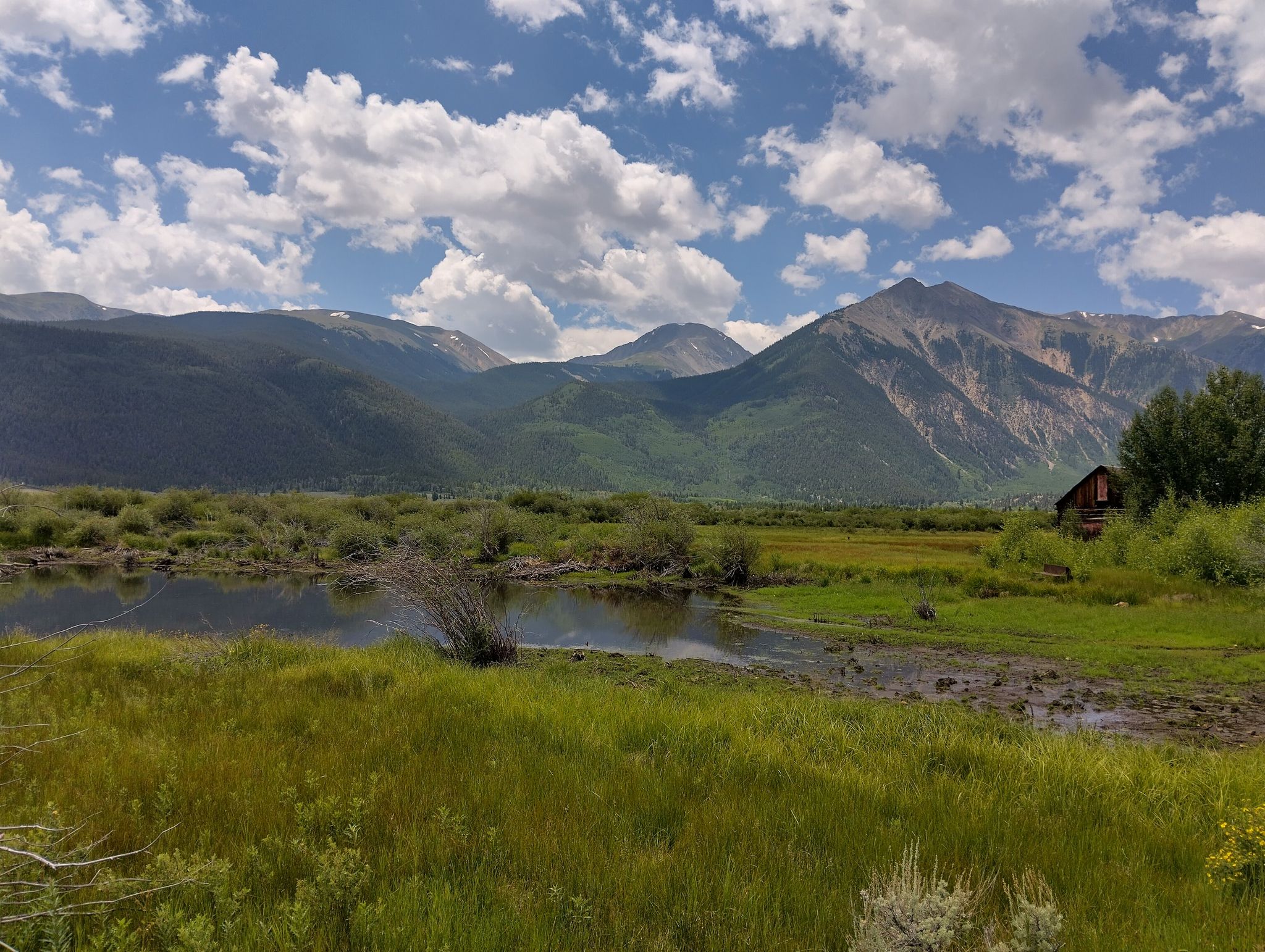Marshy landscape with water, distant mountains, and a small cabin under cloudy skies. - Twin Lakes — Leadville