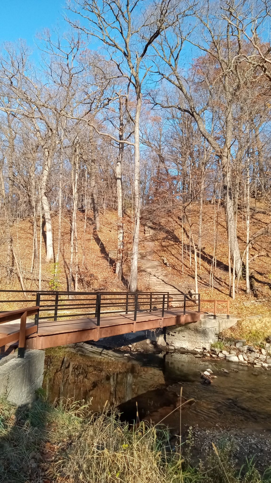 bridge and stairway to the top of the bluff