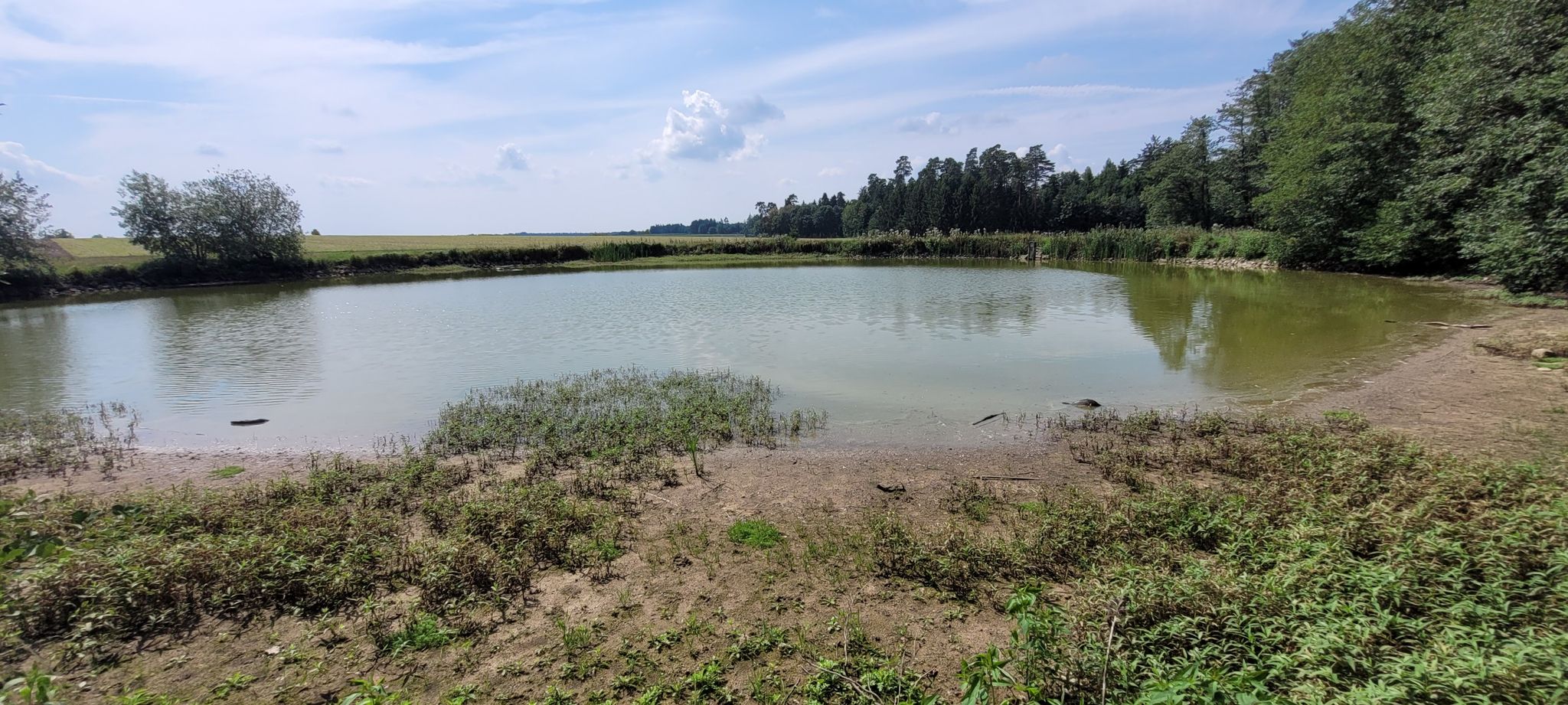 Immer noch zu wenig Wasser