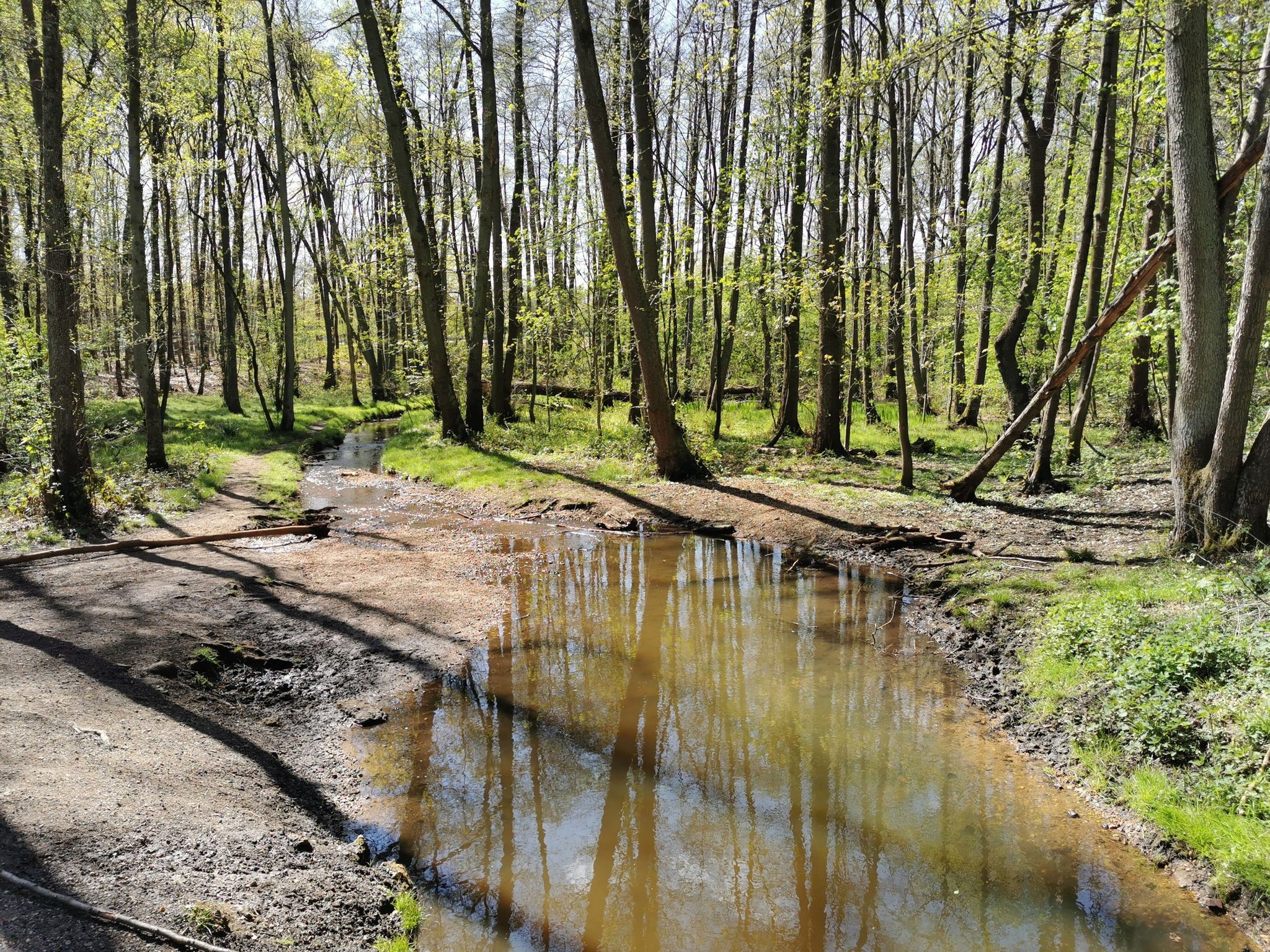 Über dem Garather Mühlenbach