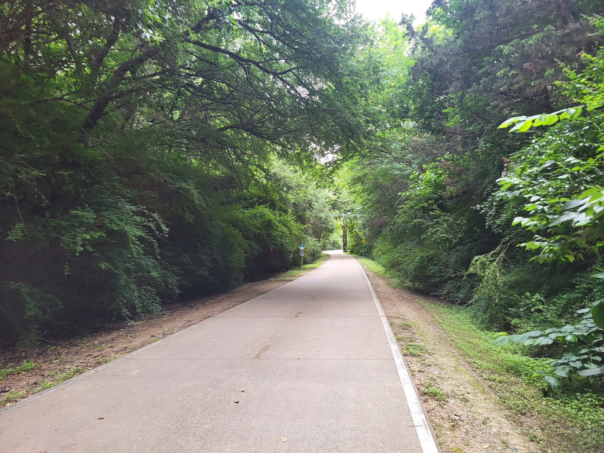Straight paved path surrounded by dense green trees and bushes. - Santa Fe Trail