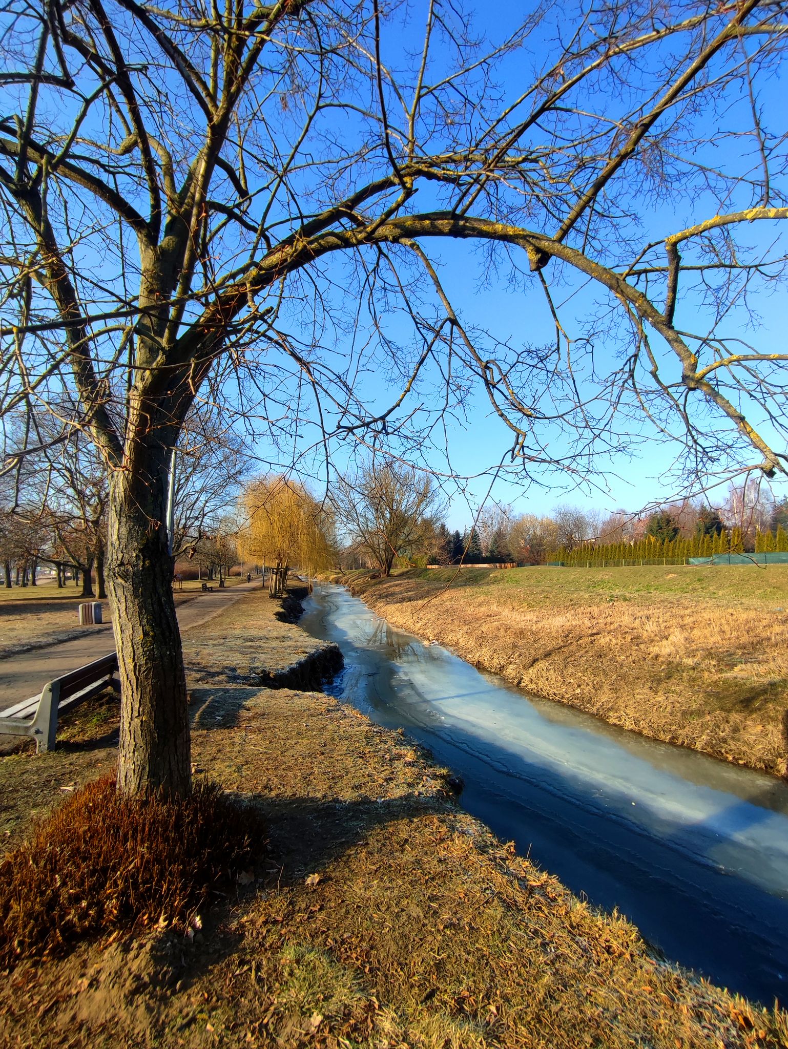 Park Antoniuk