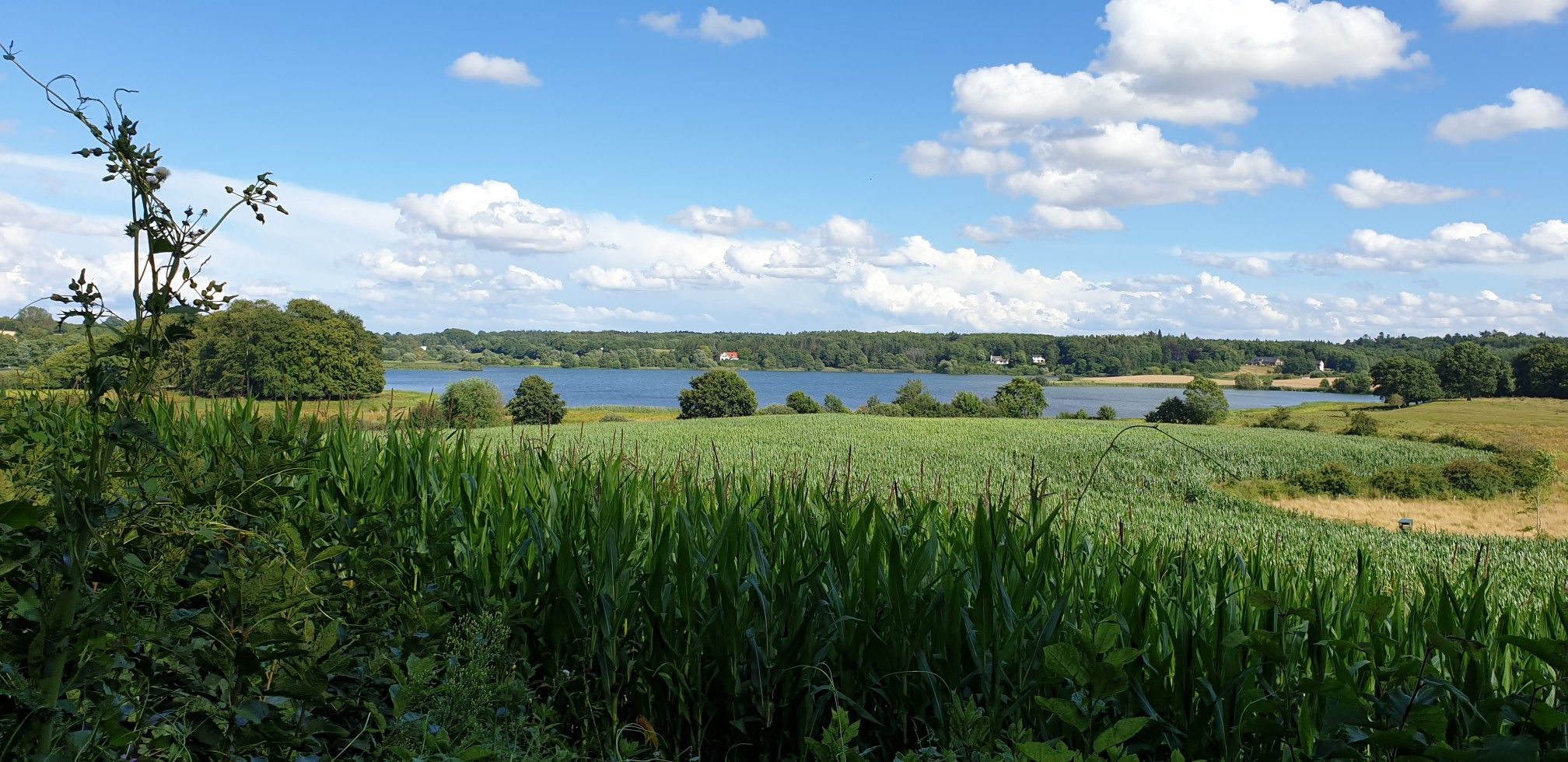Sibbersdorfer See