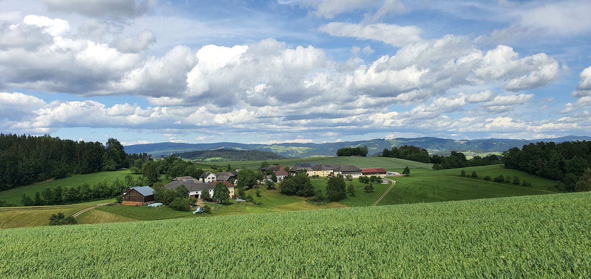 Blick ins Böhmische