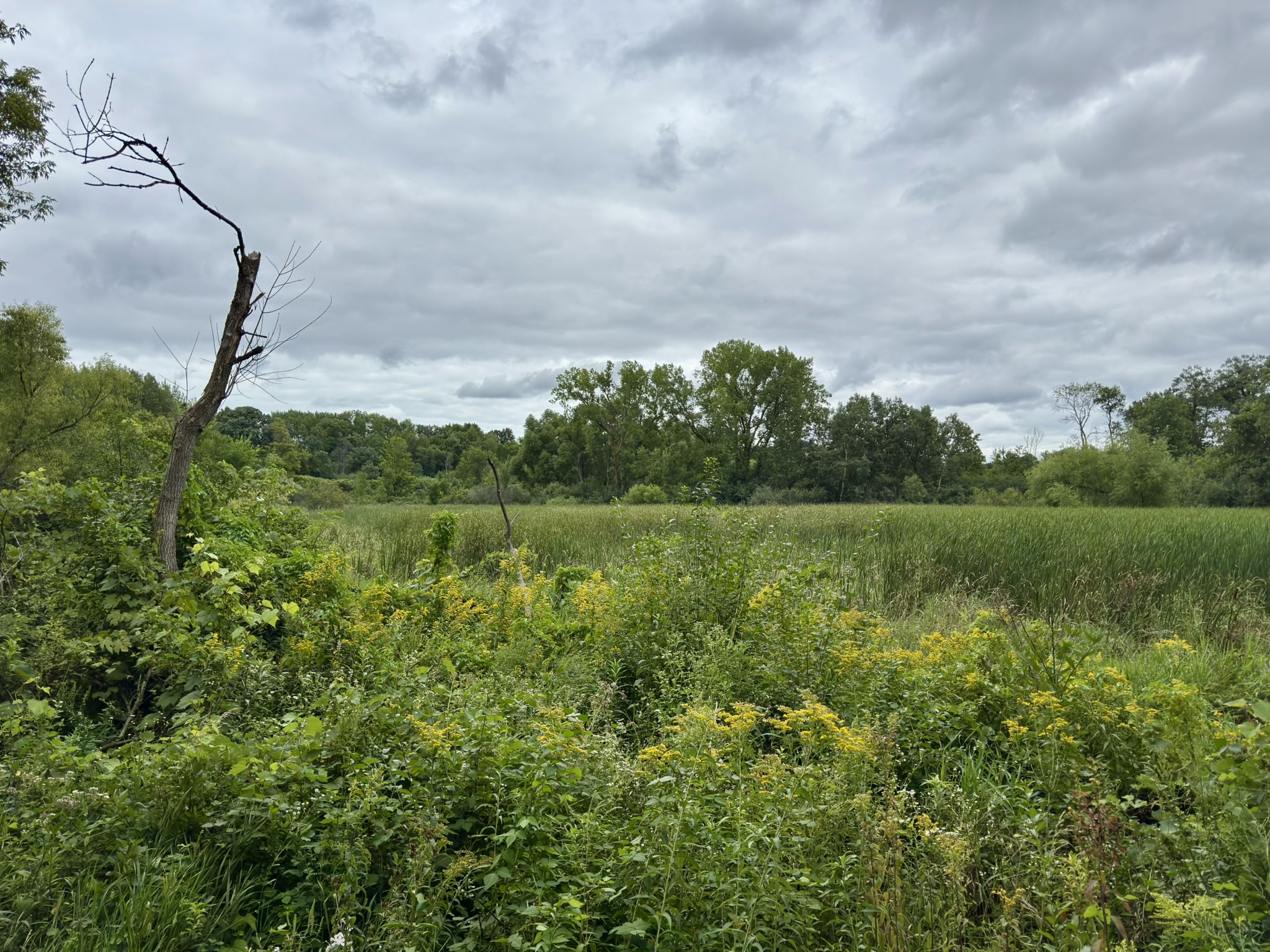 Hyland Lake Park Reserve