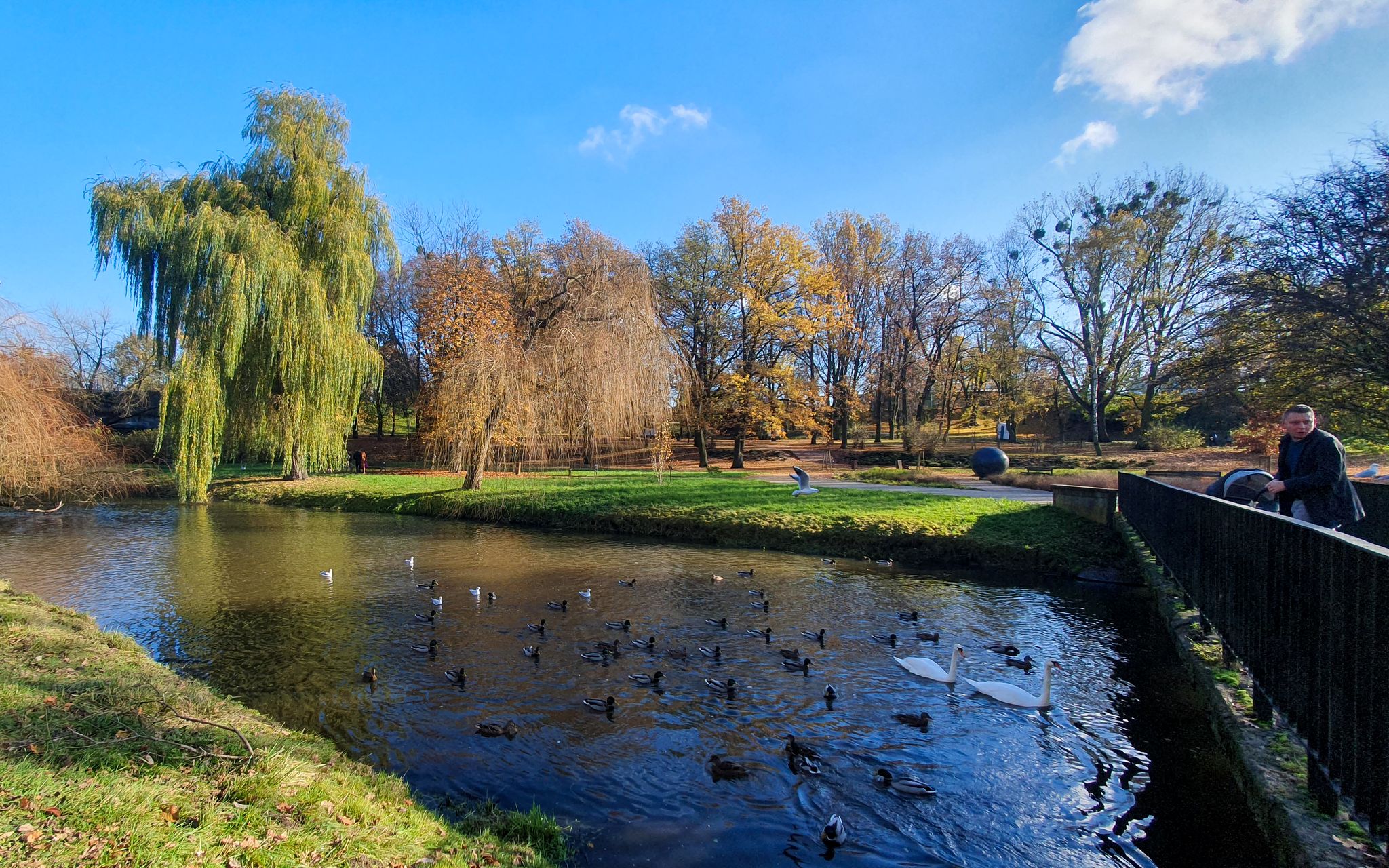 Park im. Henryka Sienkiewicza we Włocławku