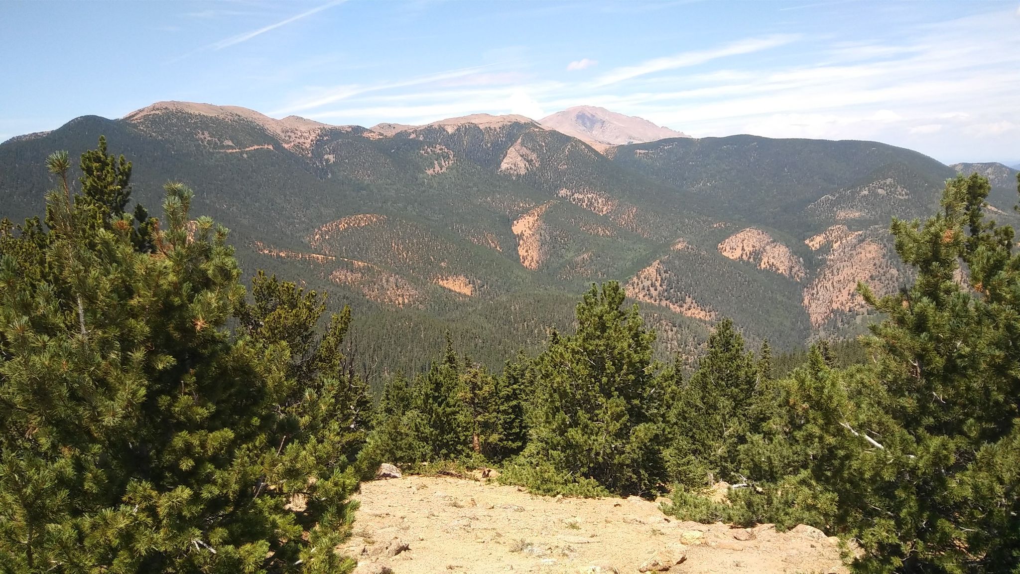 Expansive view of forested mountains under a clear blue sky, with foreground trees. - Mount Rosa Trail