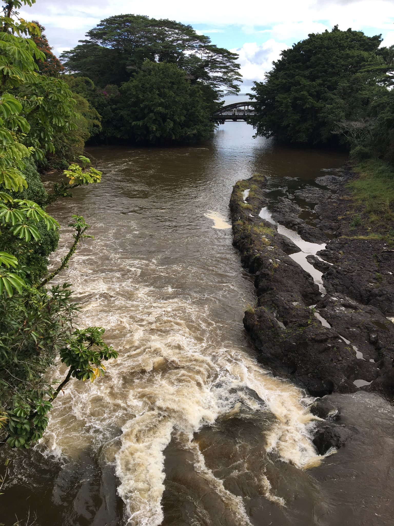Turbulent brown river flowing past rocky banks and lush green trees. - Hilo to Kolekole Beach Park & ʻAkaka Falls State Park