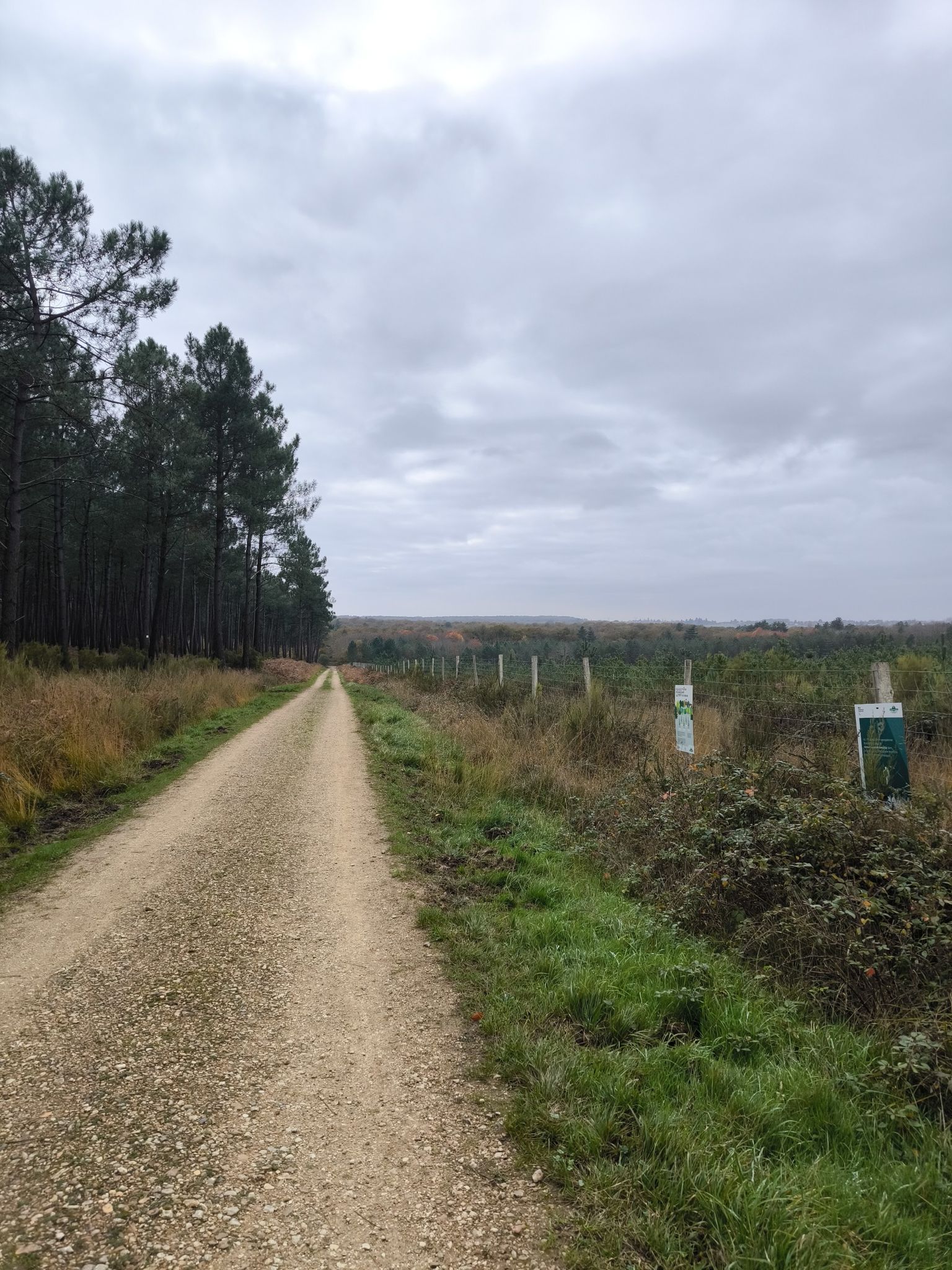 descente bois de Moulière parcelle 29