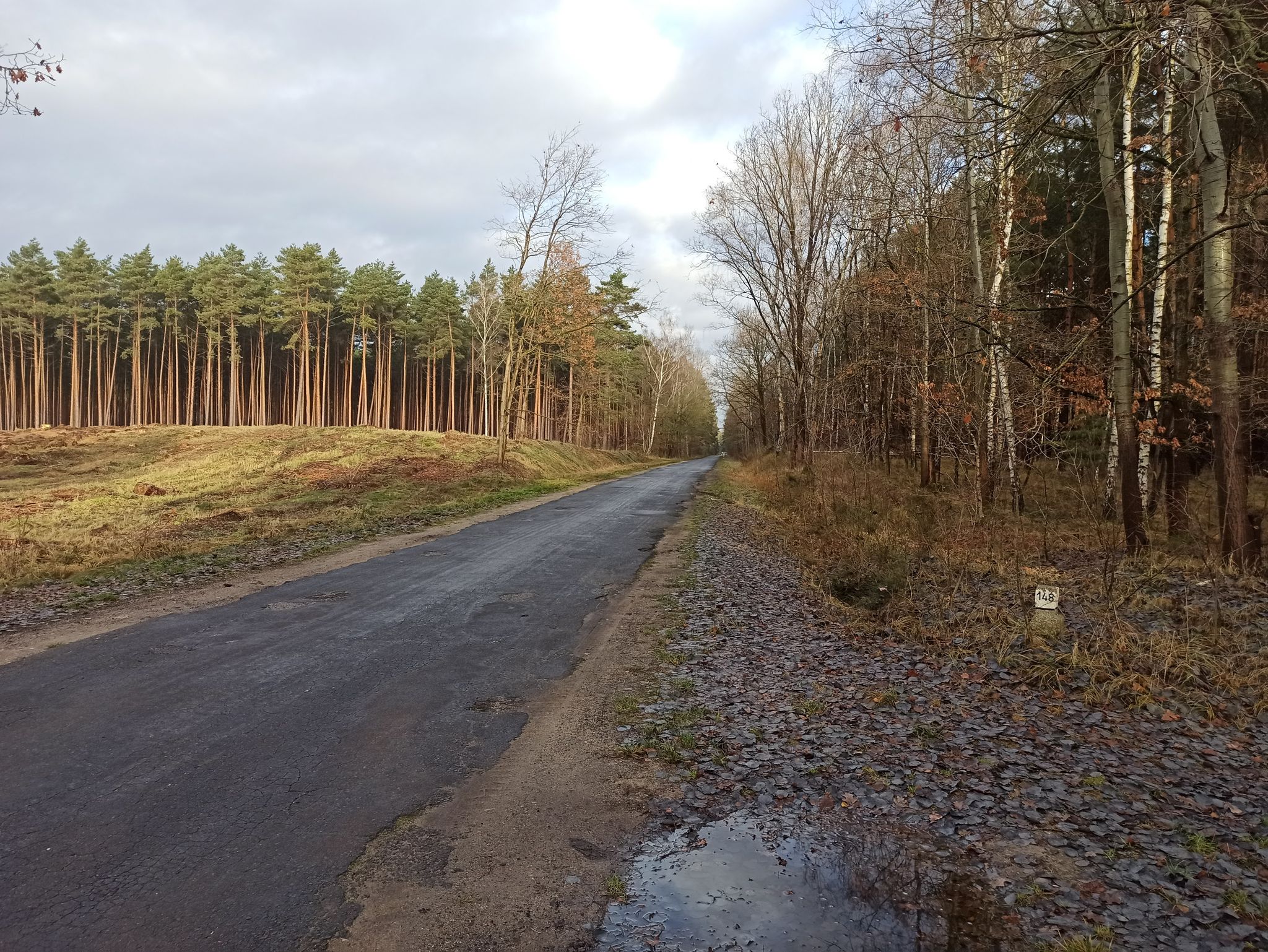 Trasa  Łysiny - Lgiń