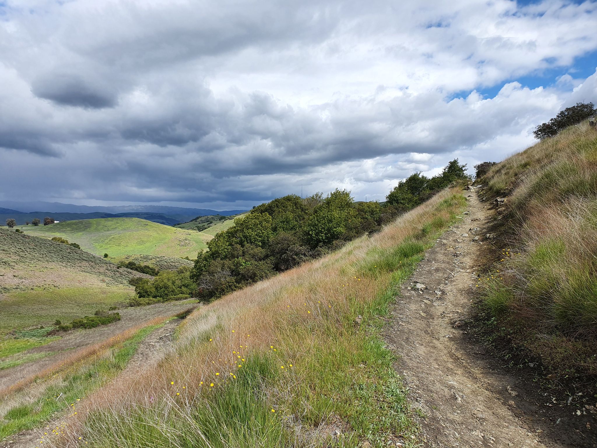 Dirt path on a grassy hillside under a dramatic cloudy sky. - Mine Trail loop – Lisa Killough Trail loop from Santa Teresa