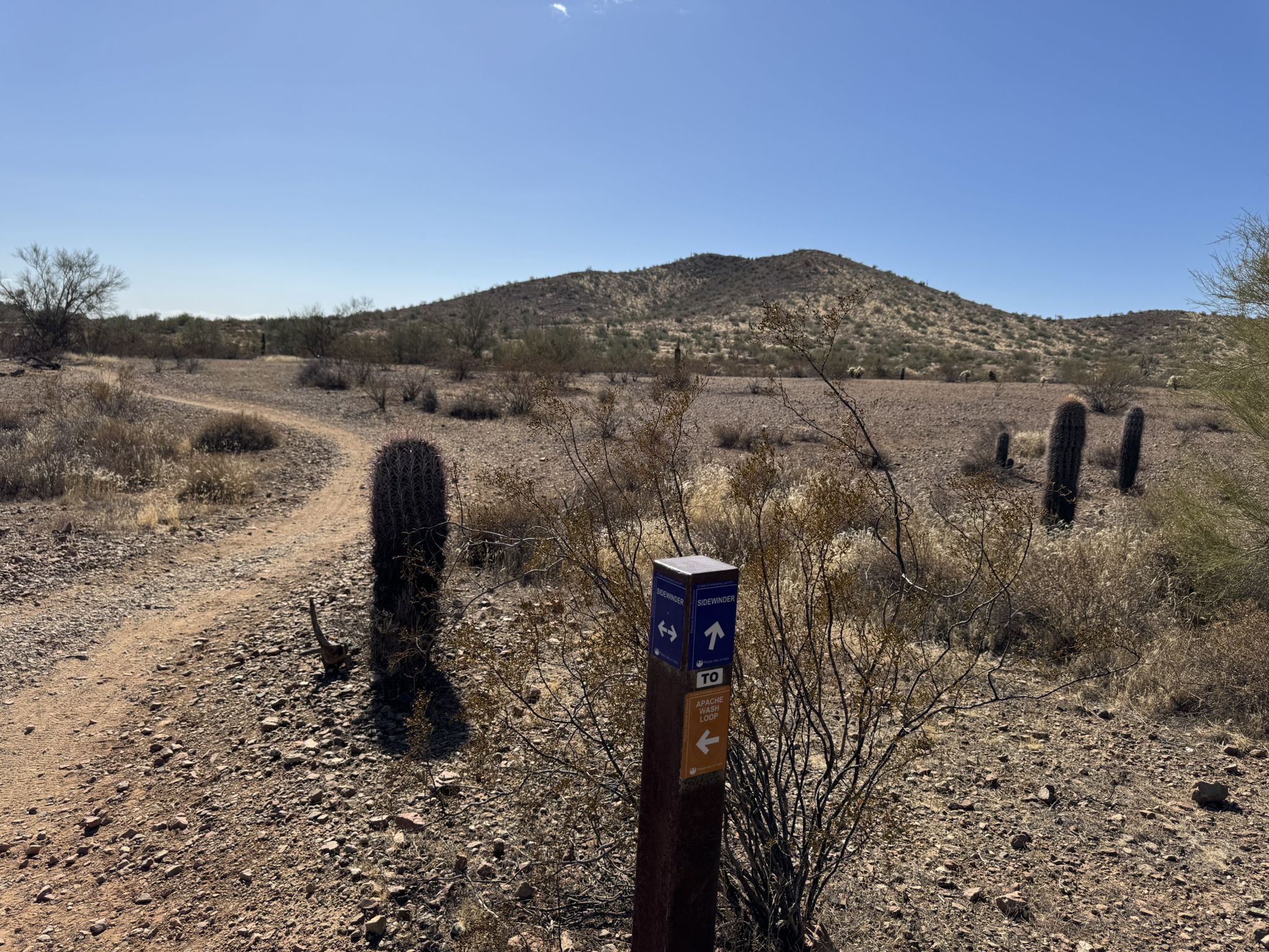 A trail marker on a dirt path in a sunny, arid desert. - Apache Wash Loop