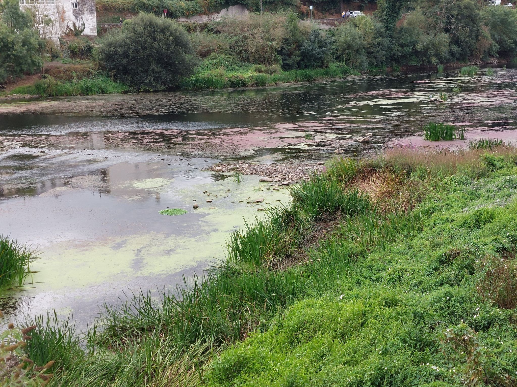 Rio Nino