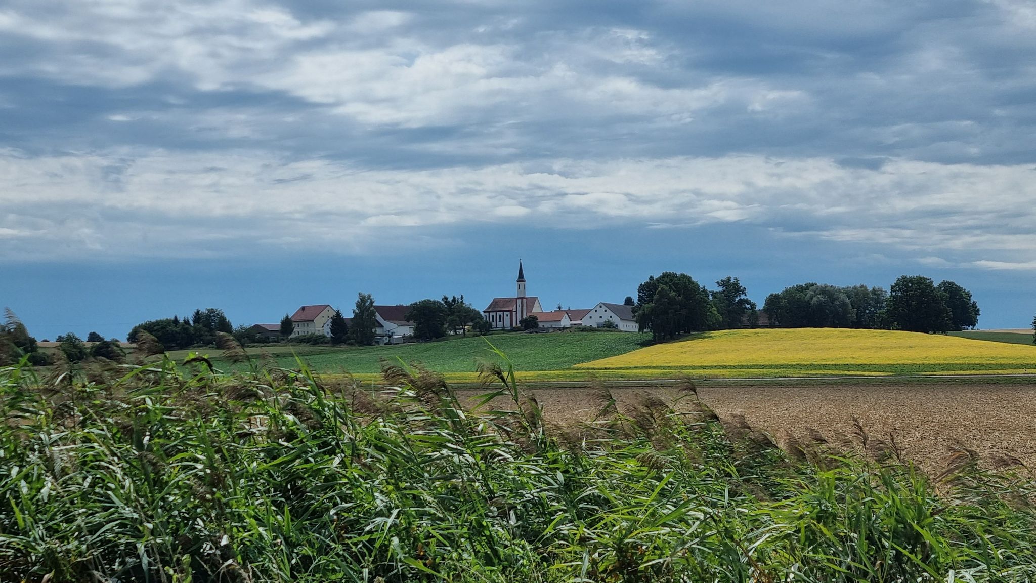 Blick nach Ottmarshart