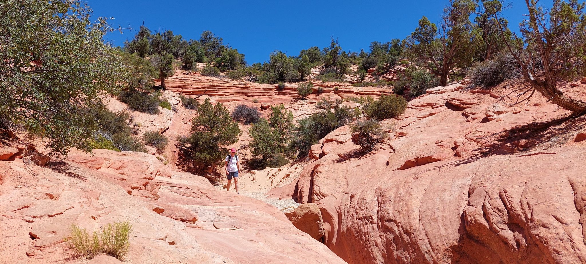 Person hiking through a sunny red rock canyon with sparse green vegetation. - Huntress Canyon