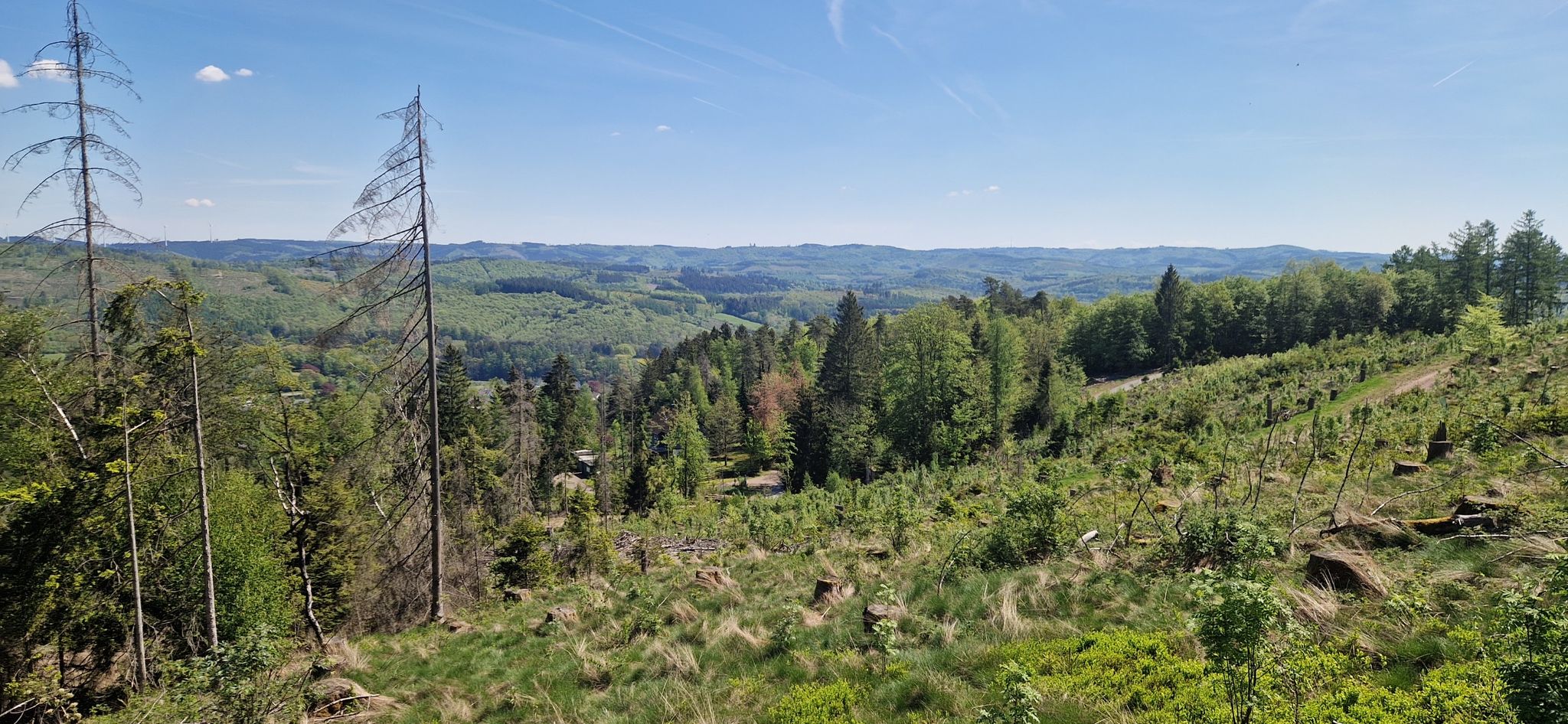 Blick Richtung Müsen